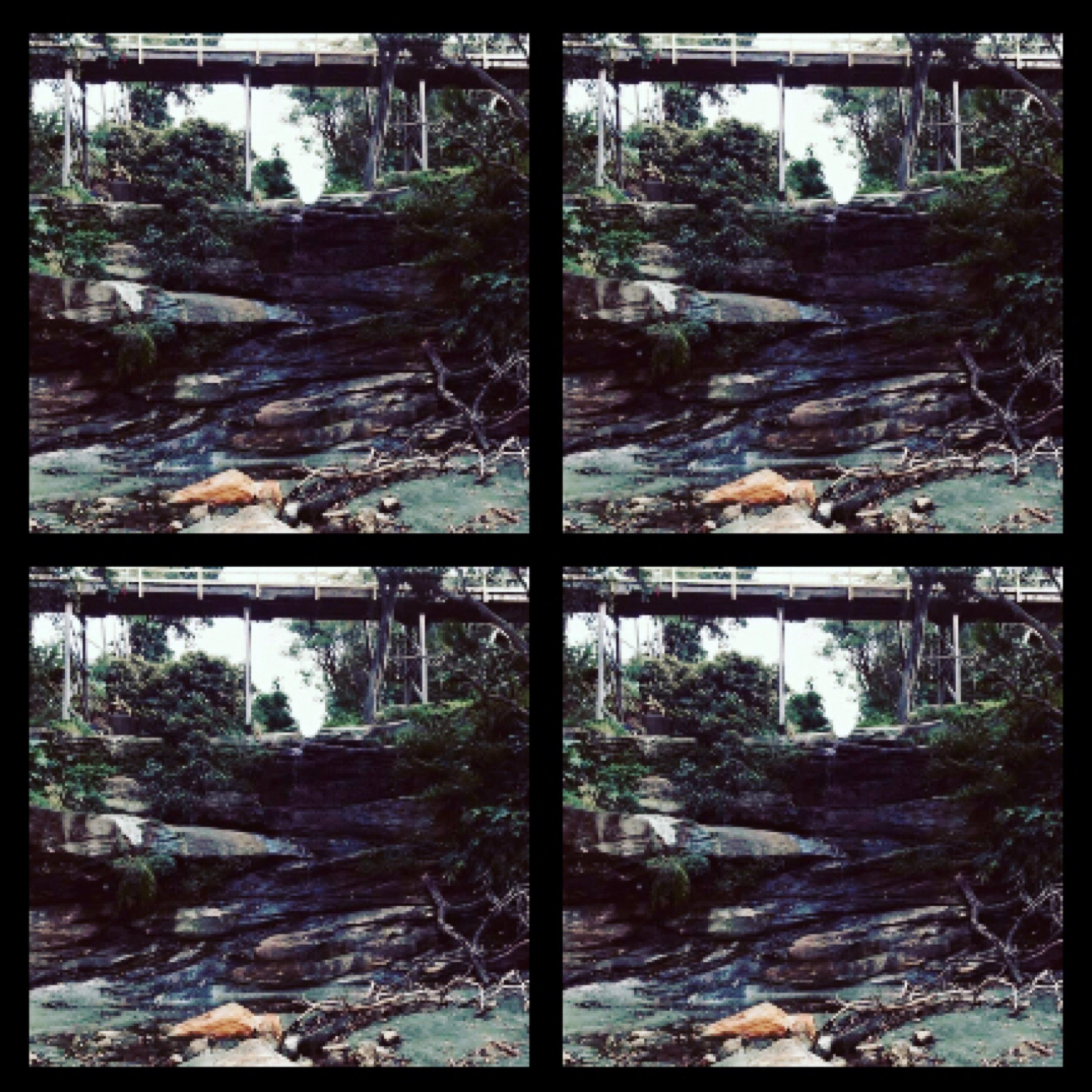 Jungle Boy artwork