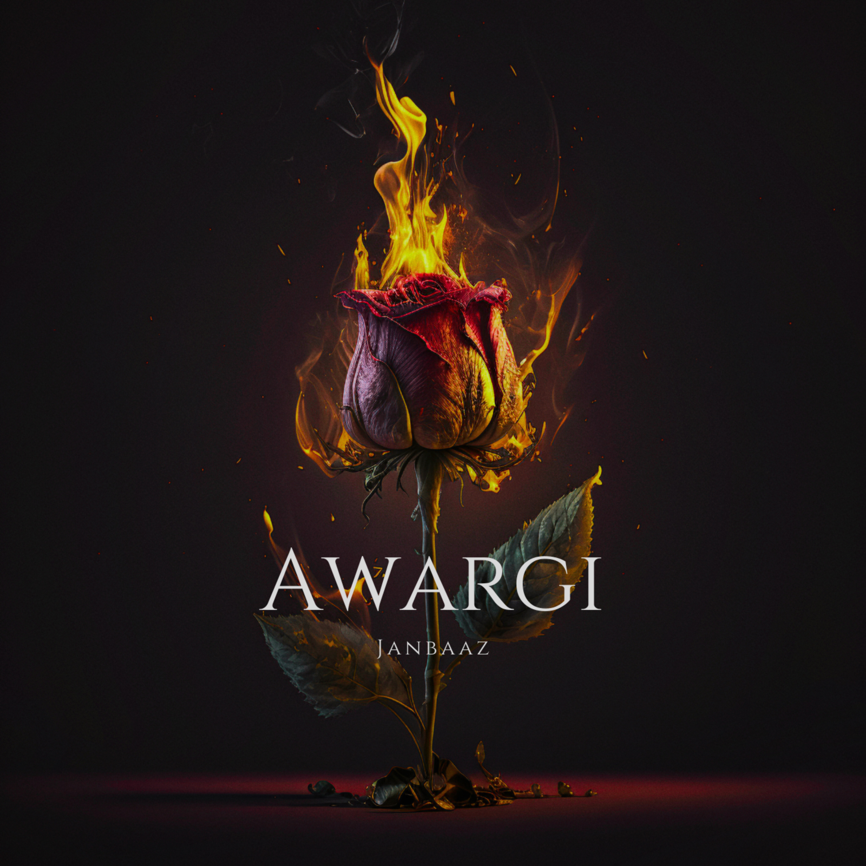 Awargi by Janbaaz cover art