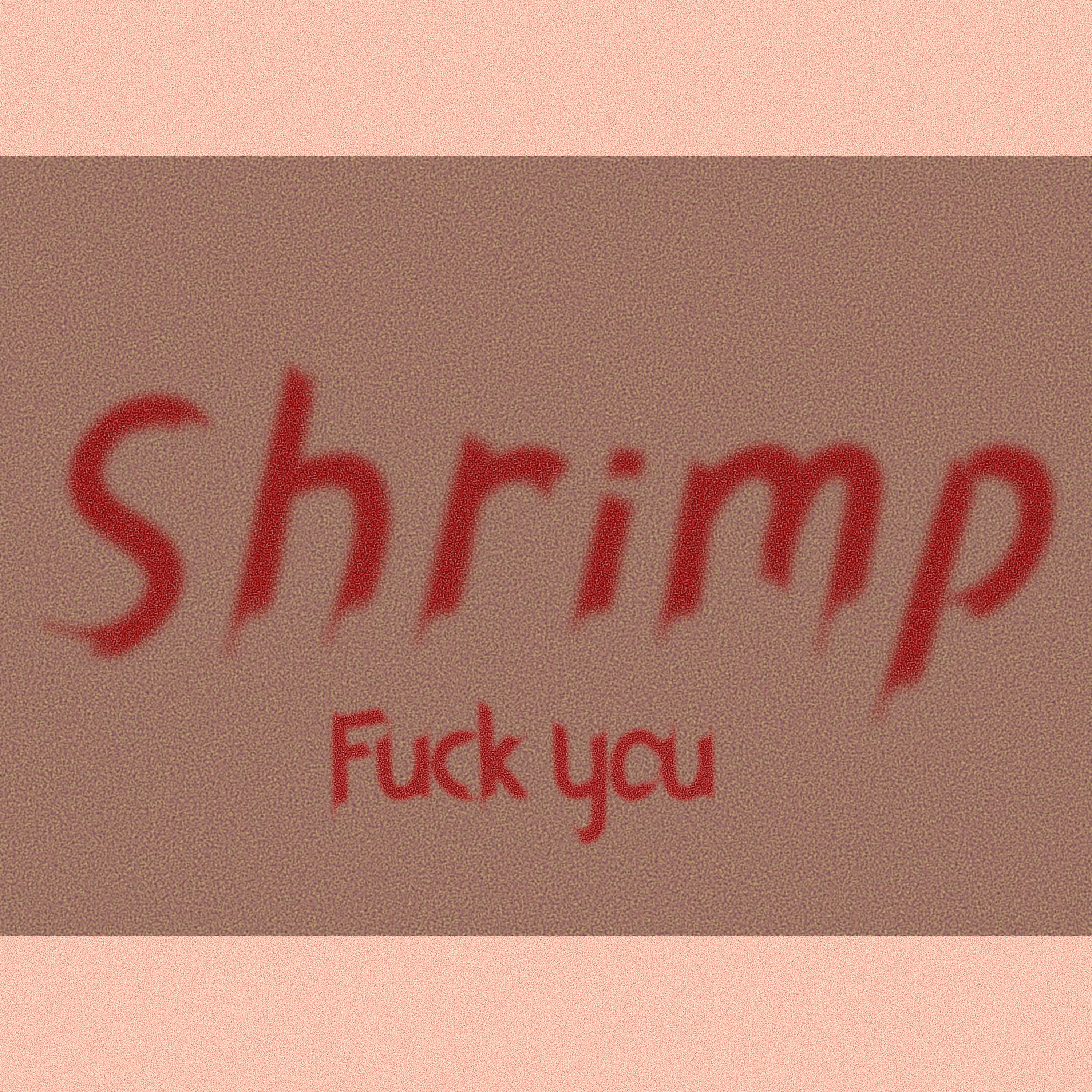 Shrimp artwork