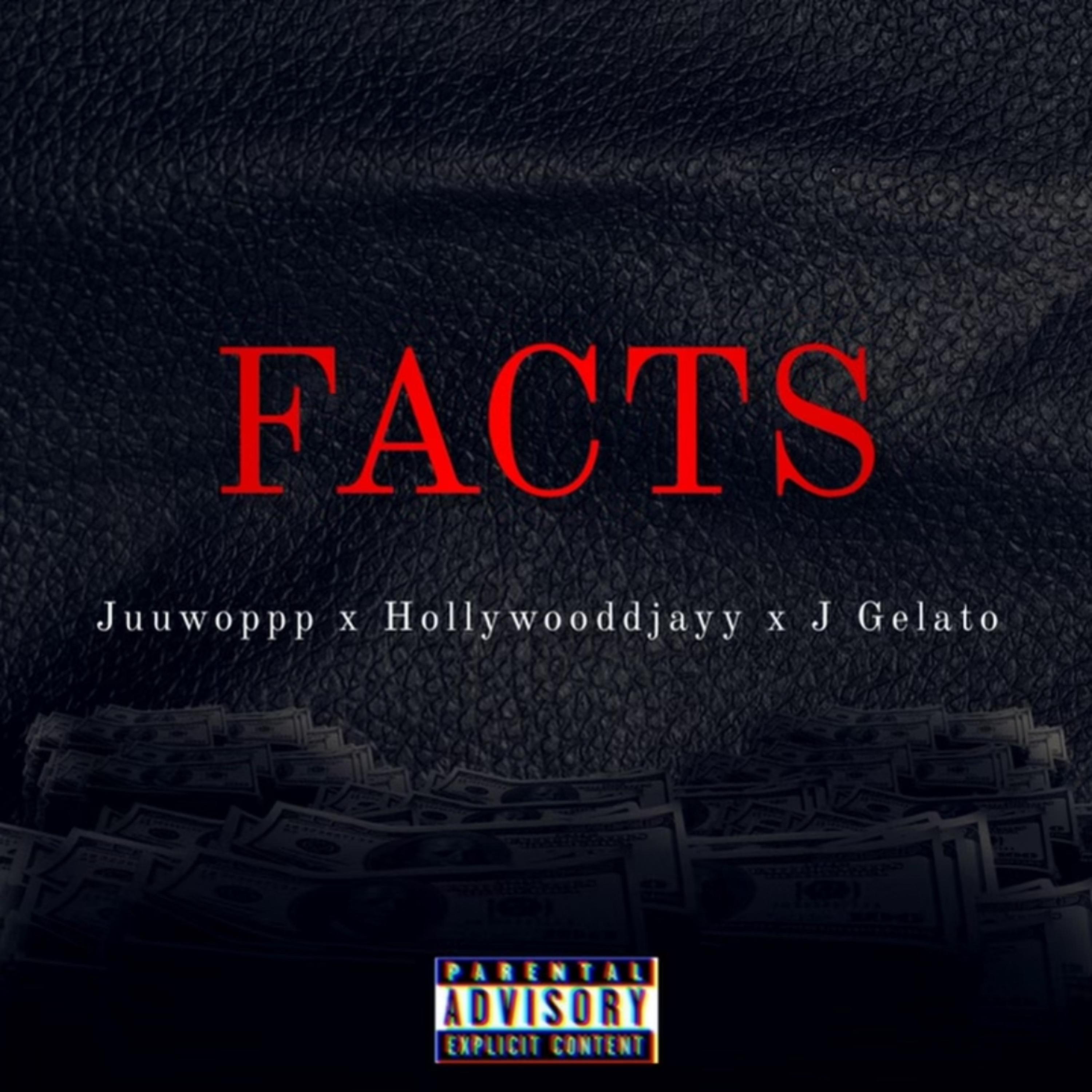 Facts artwork