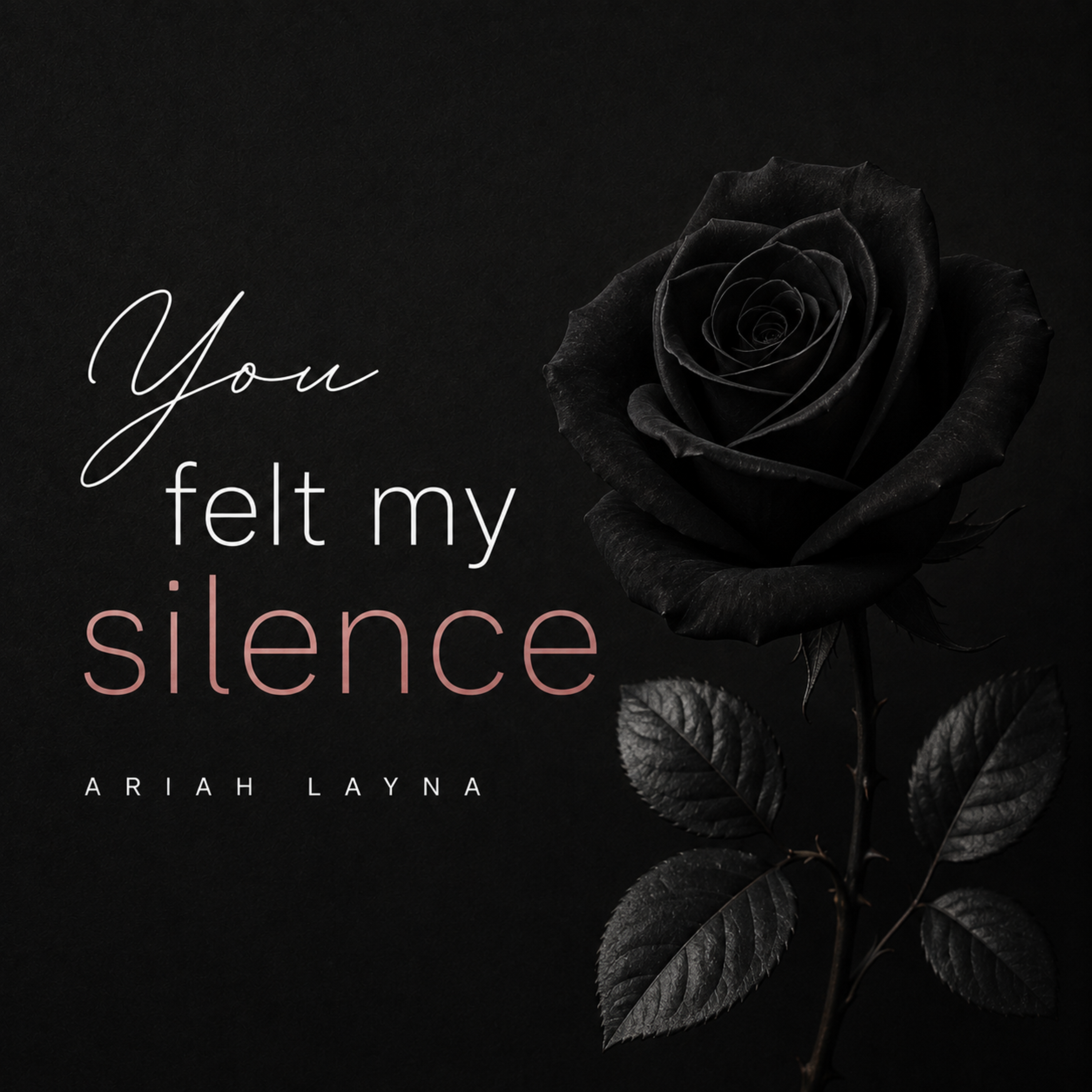 You felt my silence by Ariah Layna cover art