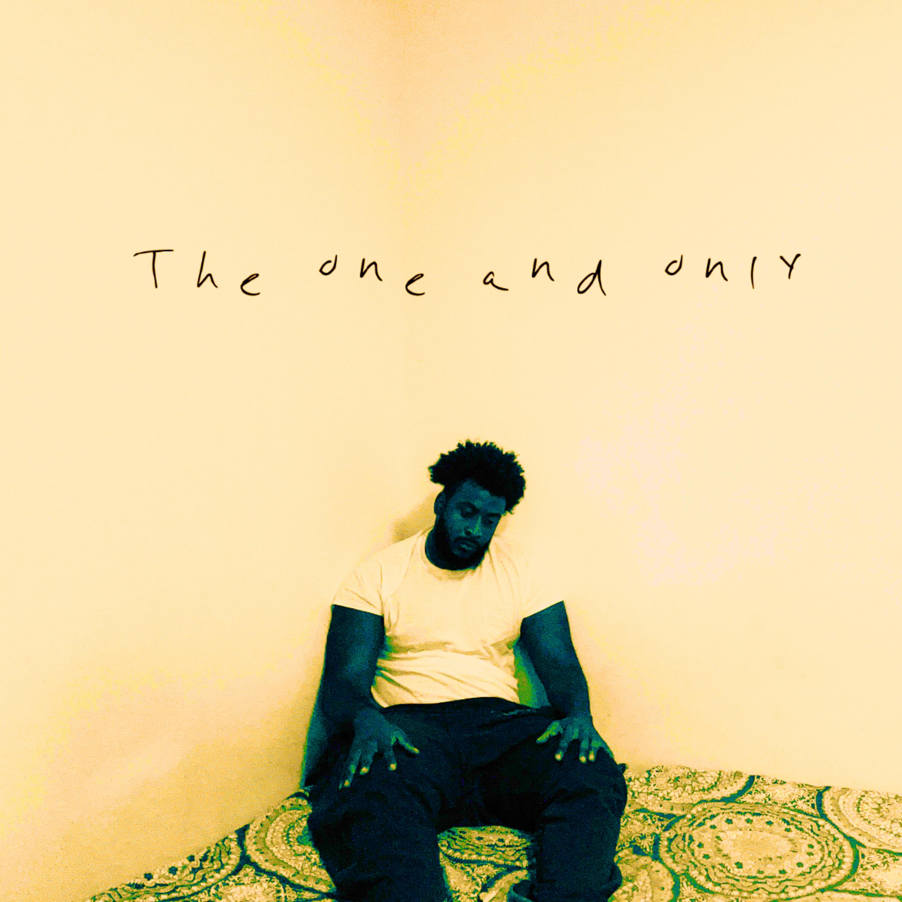 THE ONE & ONLY artwork