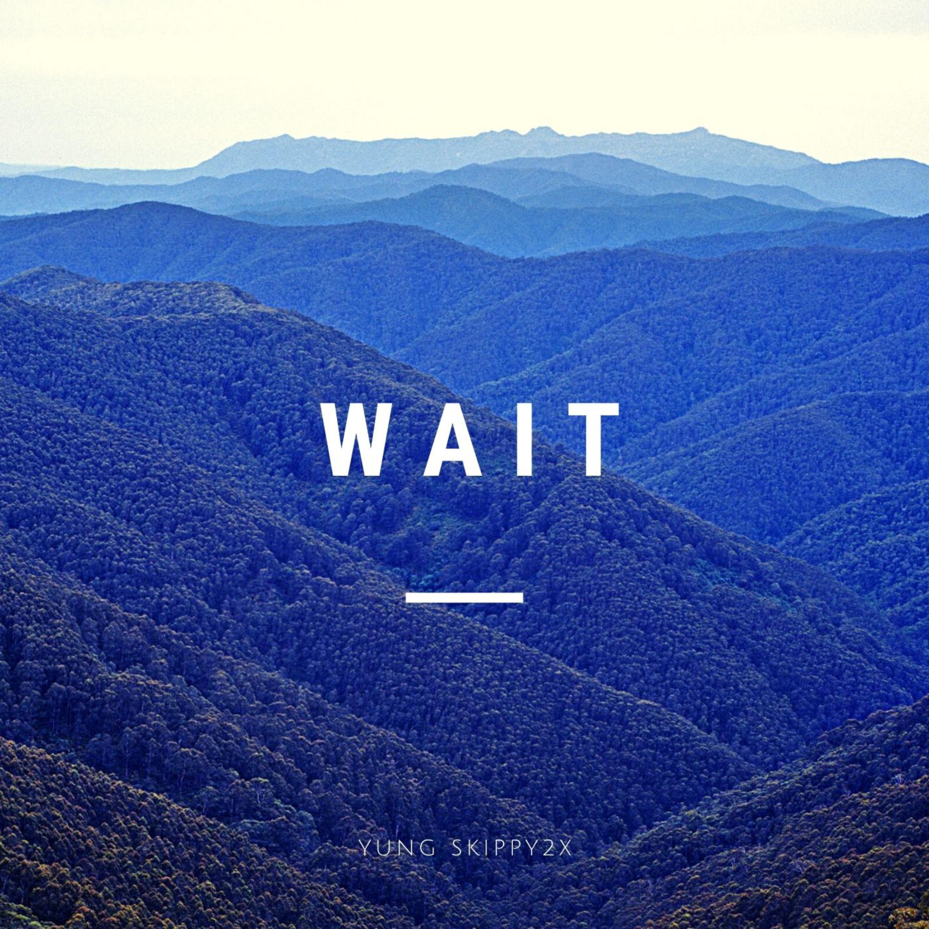 Wait artwork