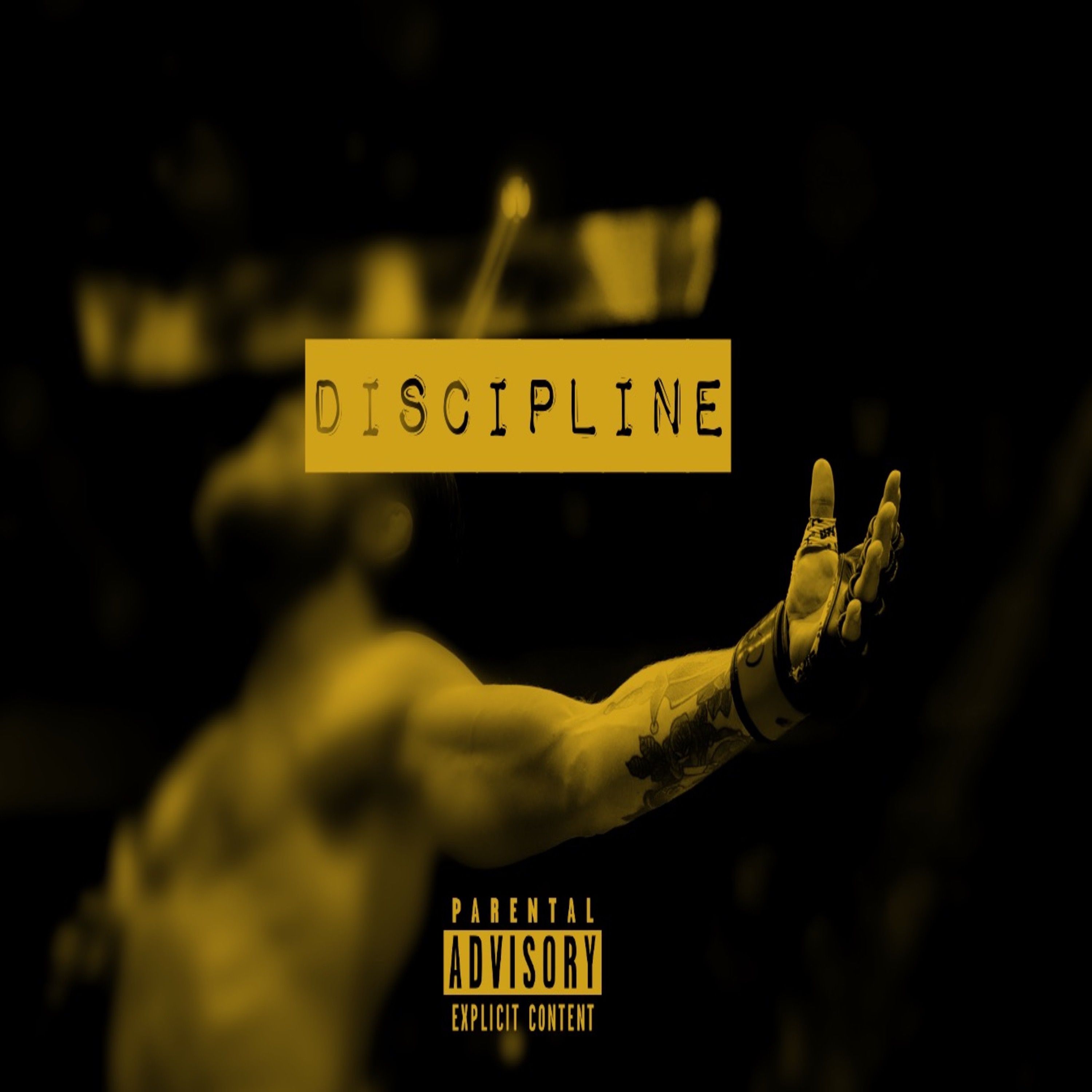 DISCIPLINE artwork