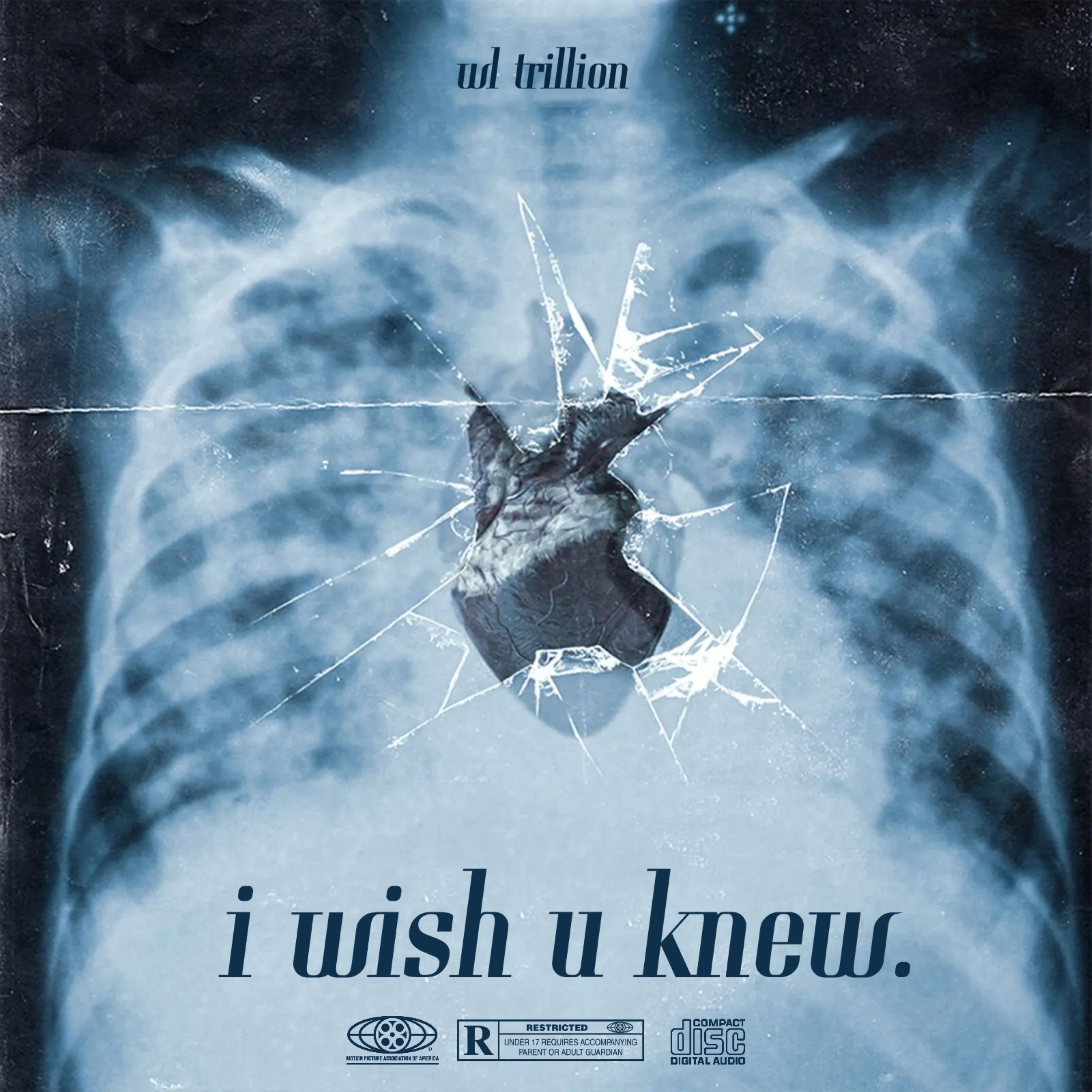 i wish u knew. artwork