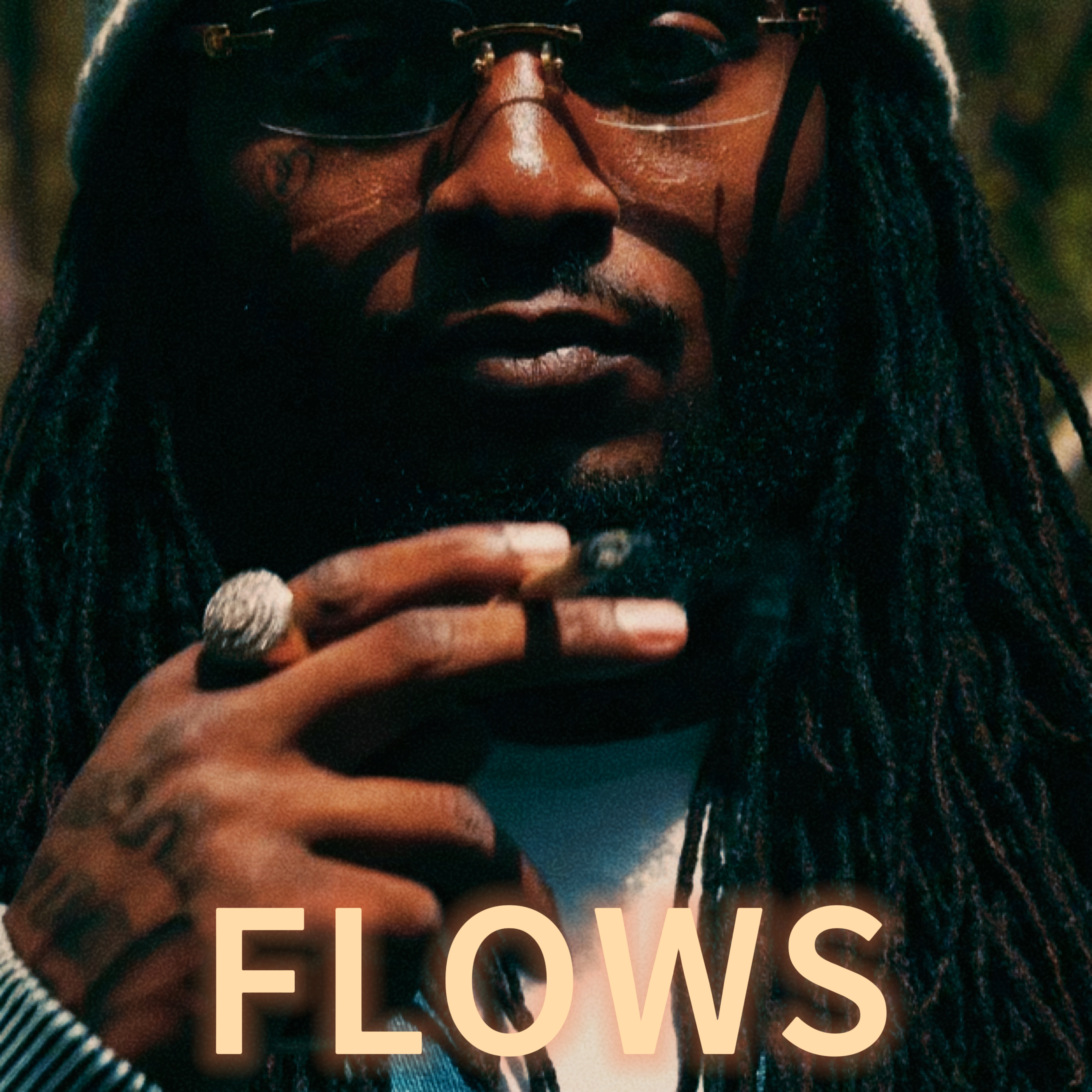 FLOWS artwork