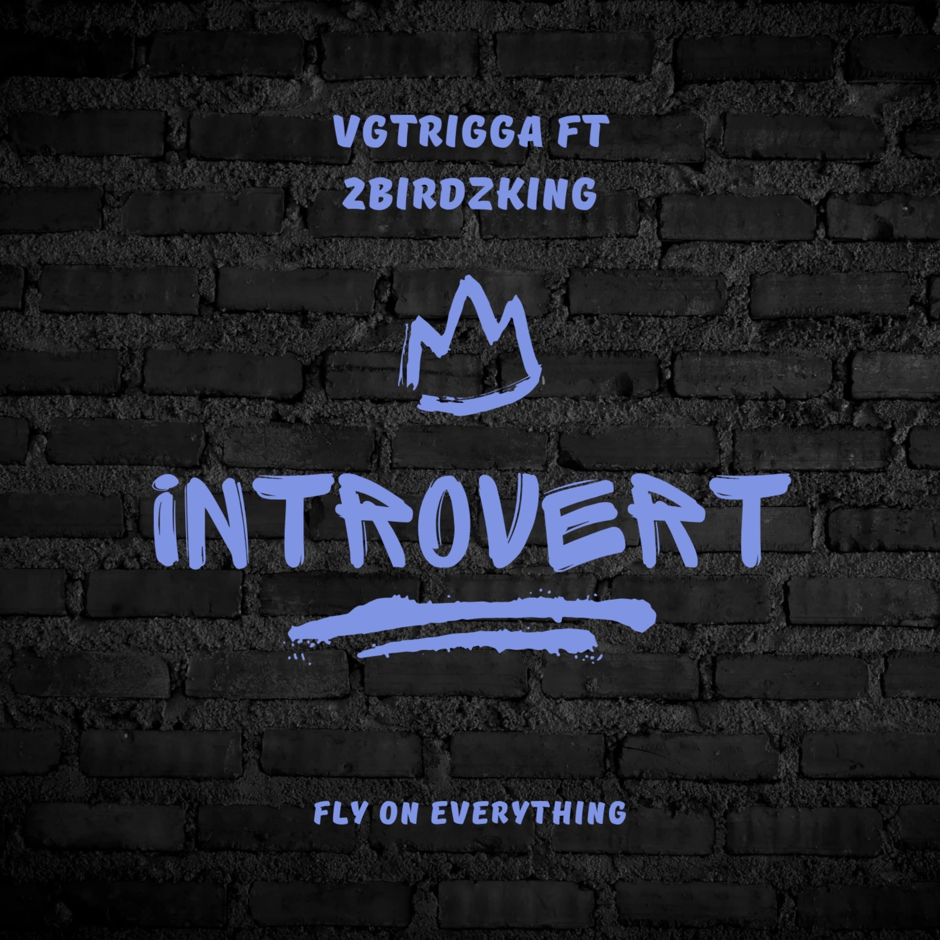 INTROVERT by Vgtrigga cover art