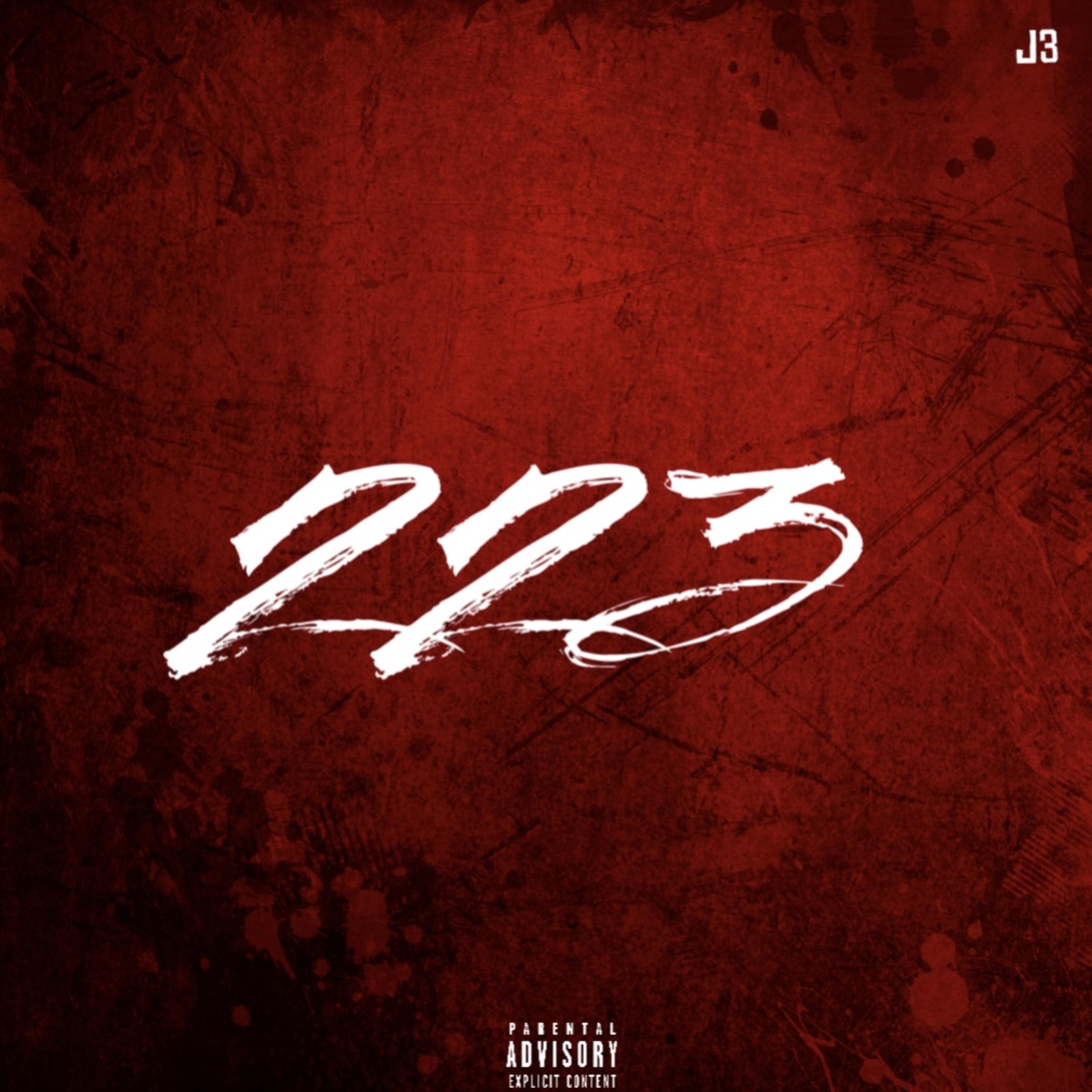 223 artwork