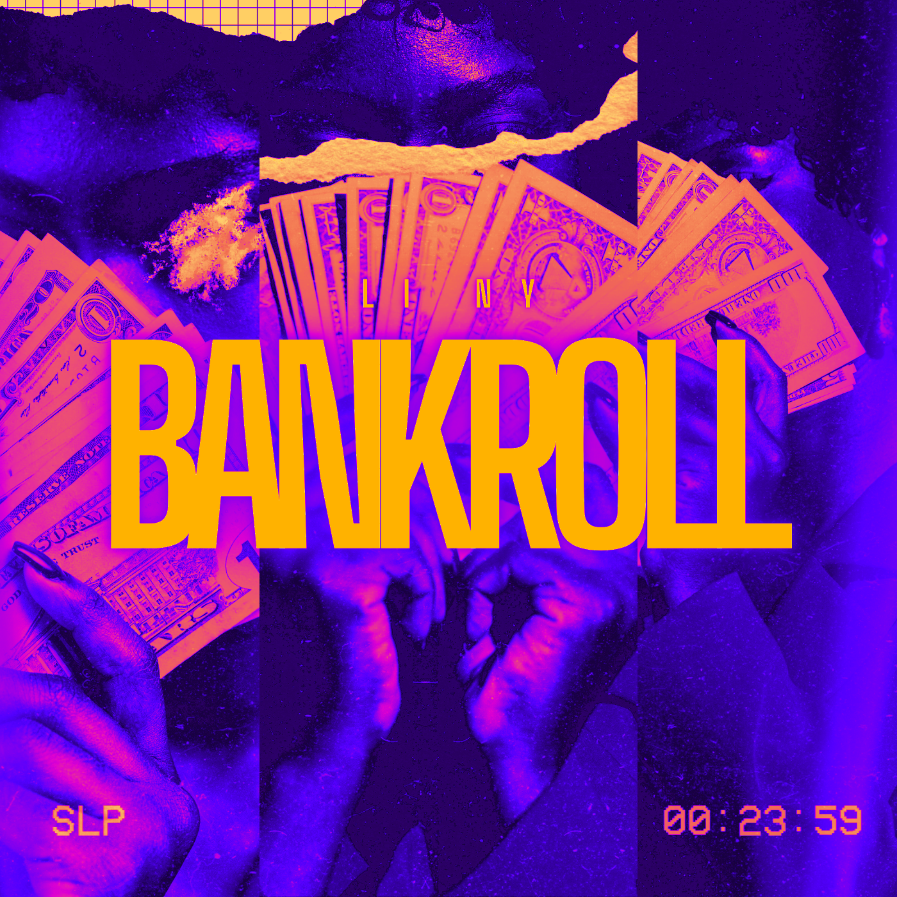 Bankroll by Li Ny cover art