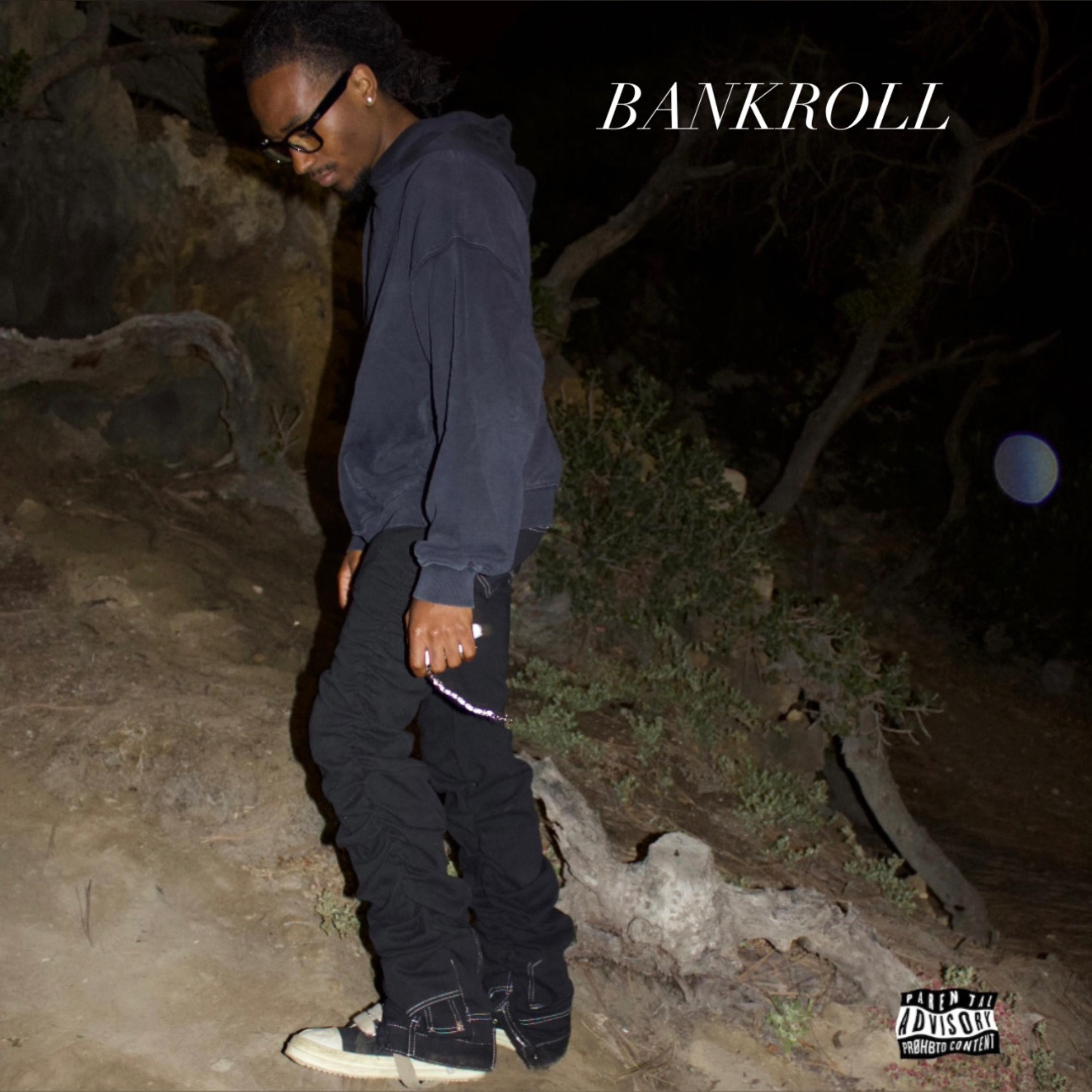 BANKROLL artwork