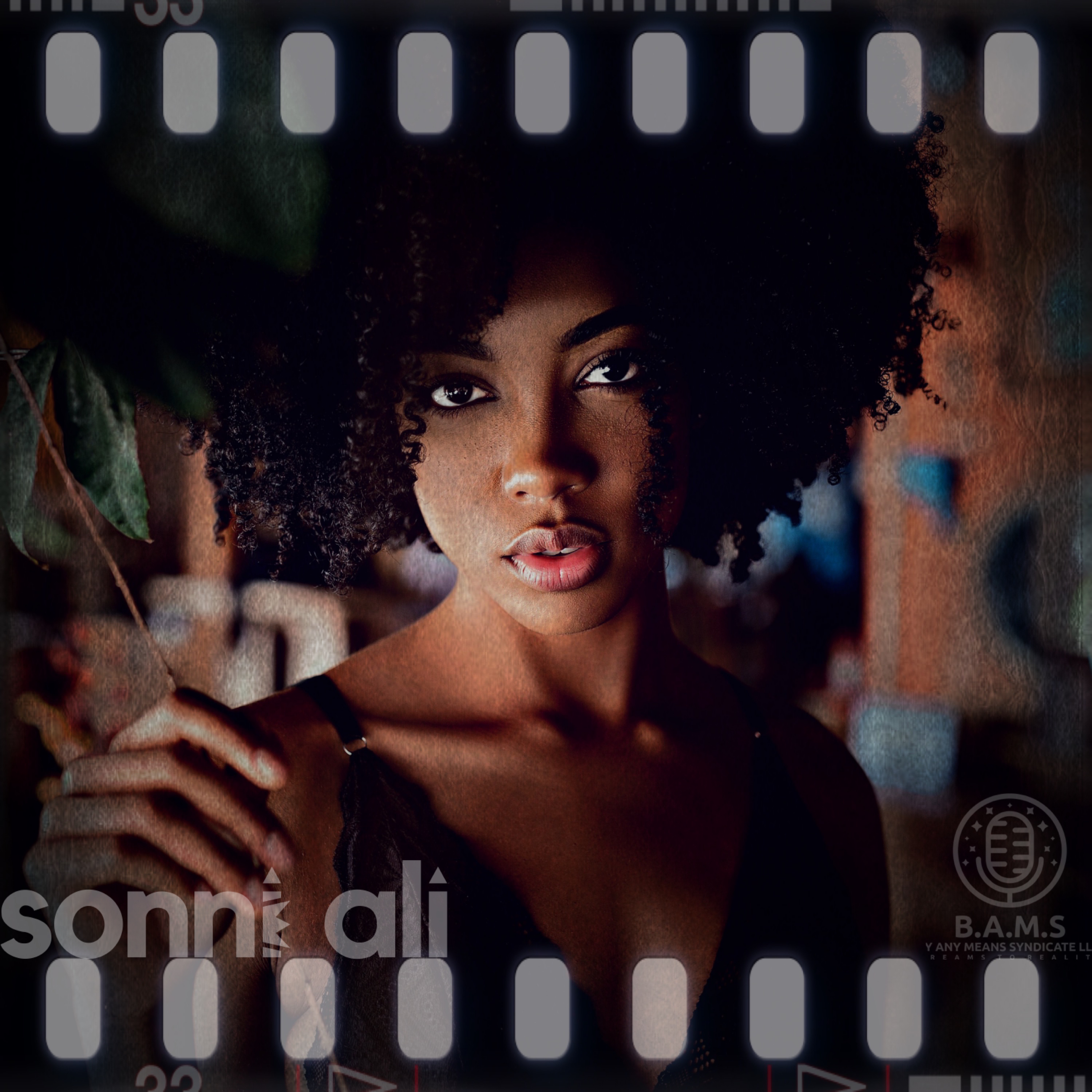 PTFU by Sonni Ali cover art