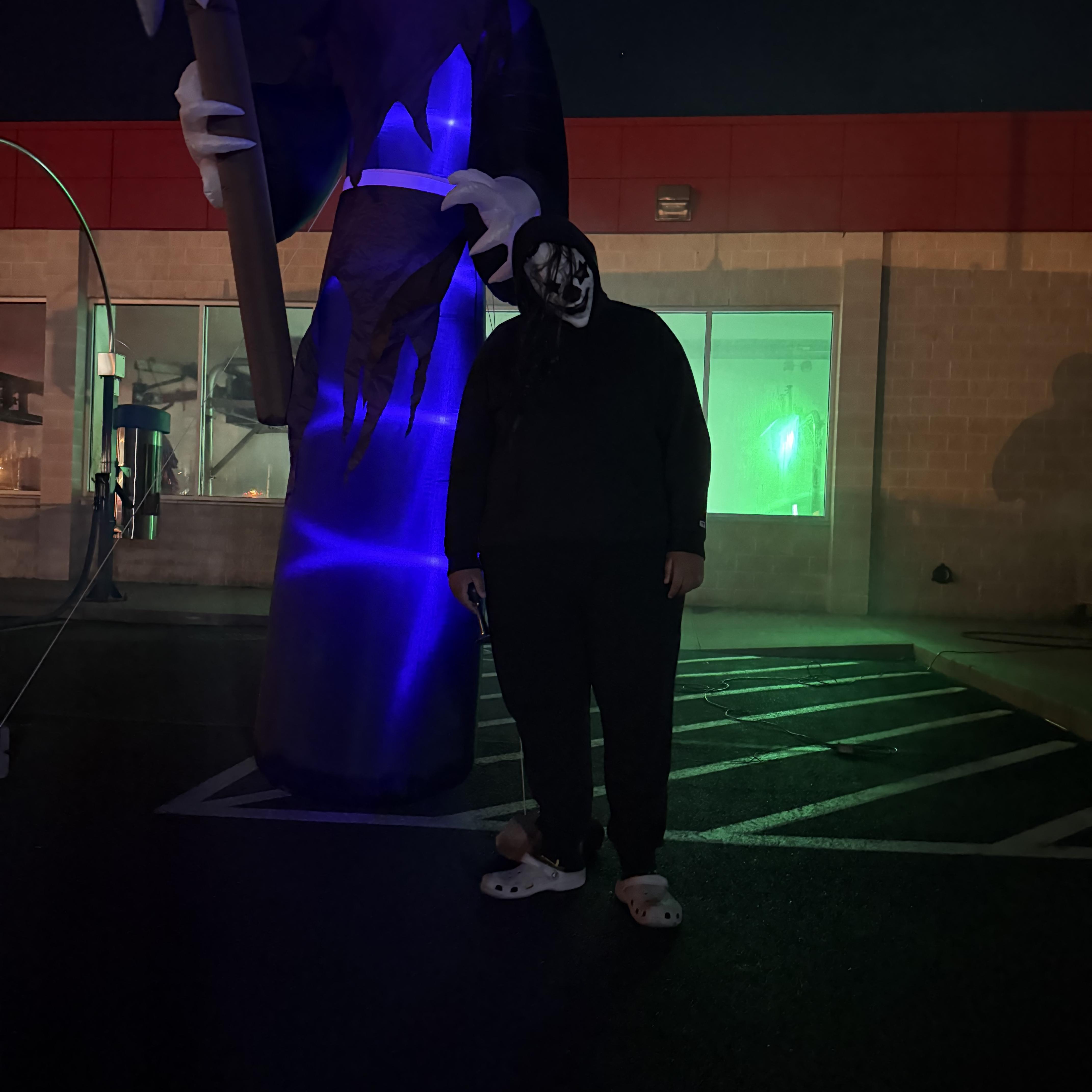 Young N Dumb artwork
