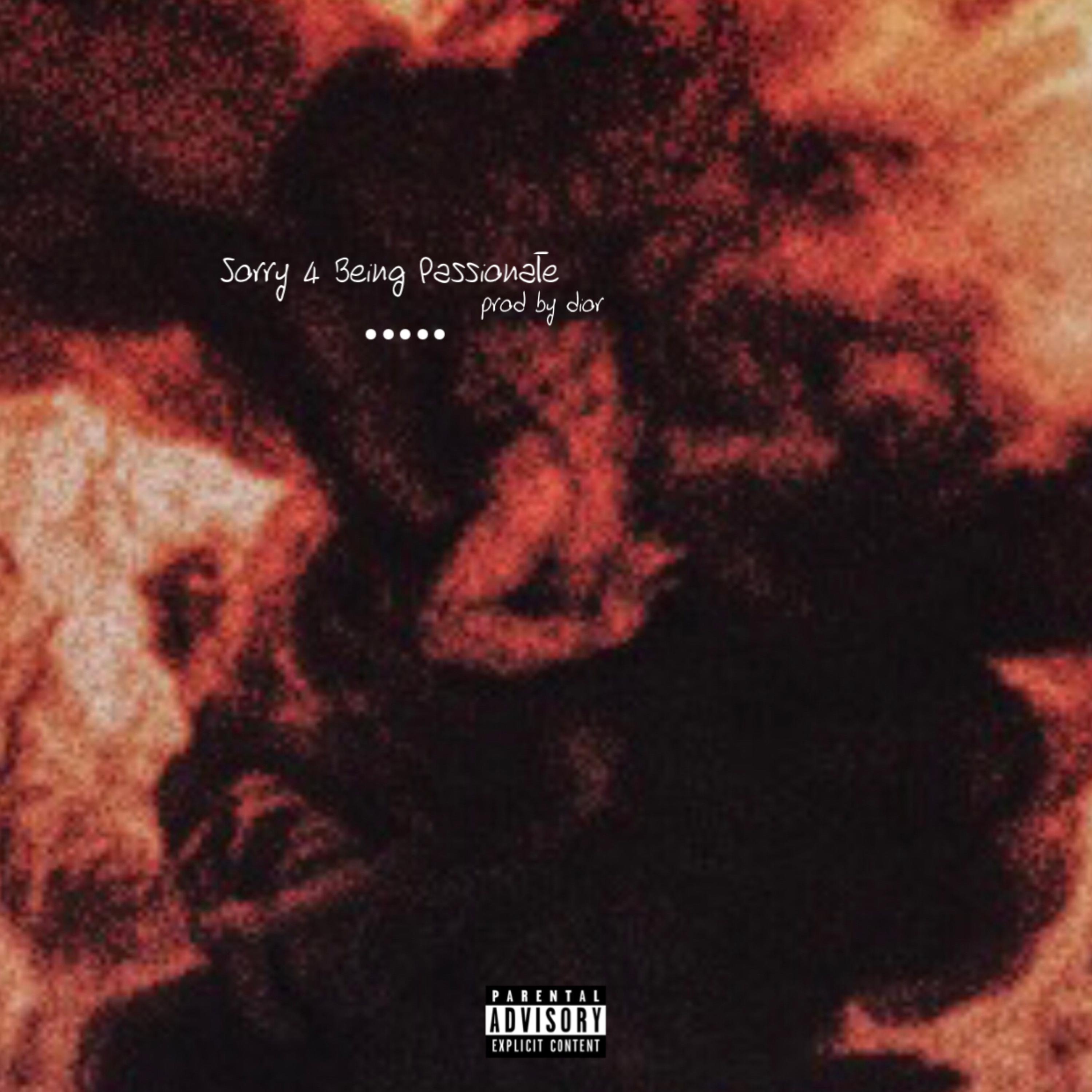 Sorry 4 Being Passionate artwork
