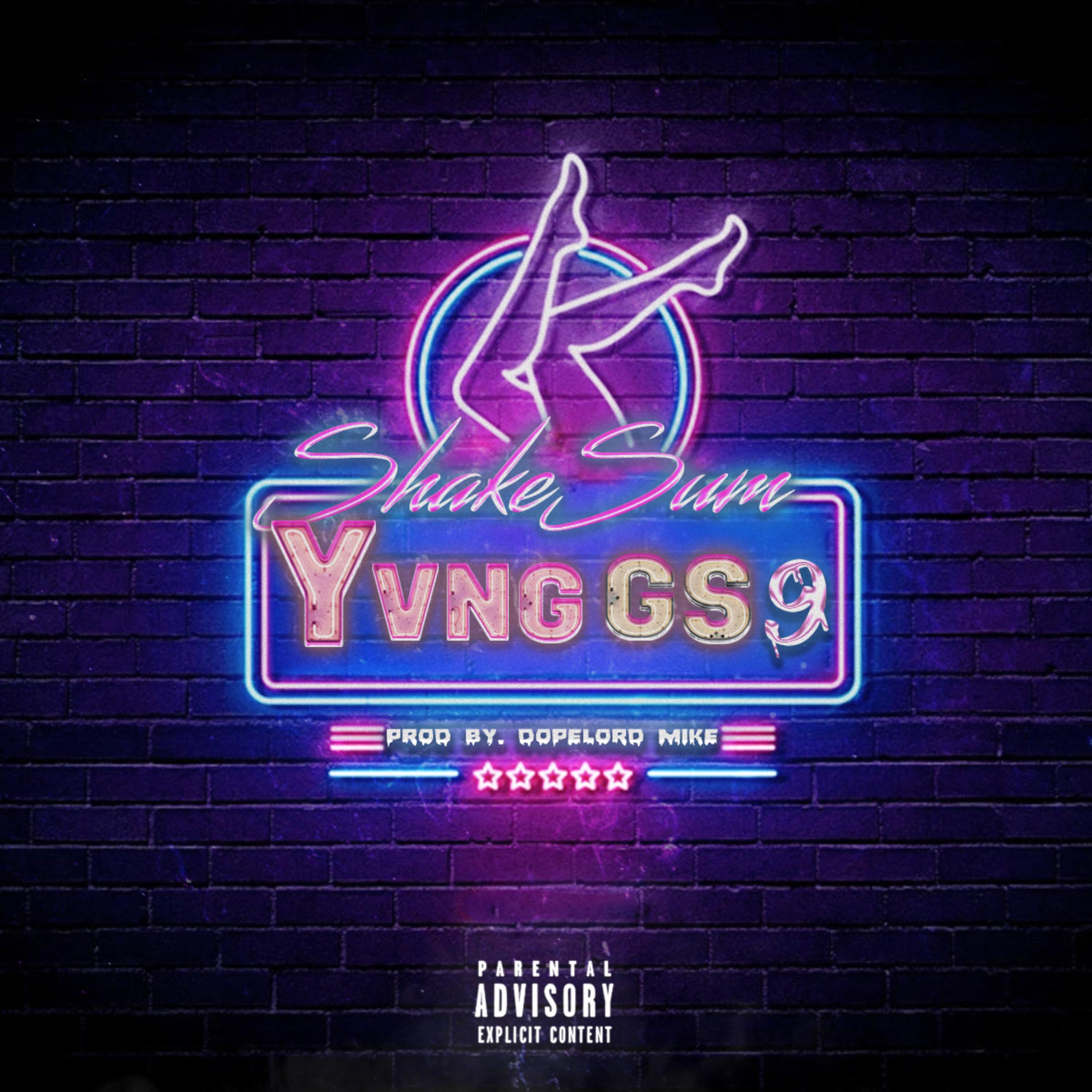 Shake Sum by Yvng GS9 cover art
