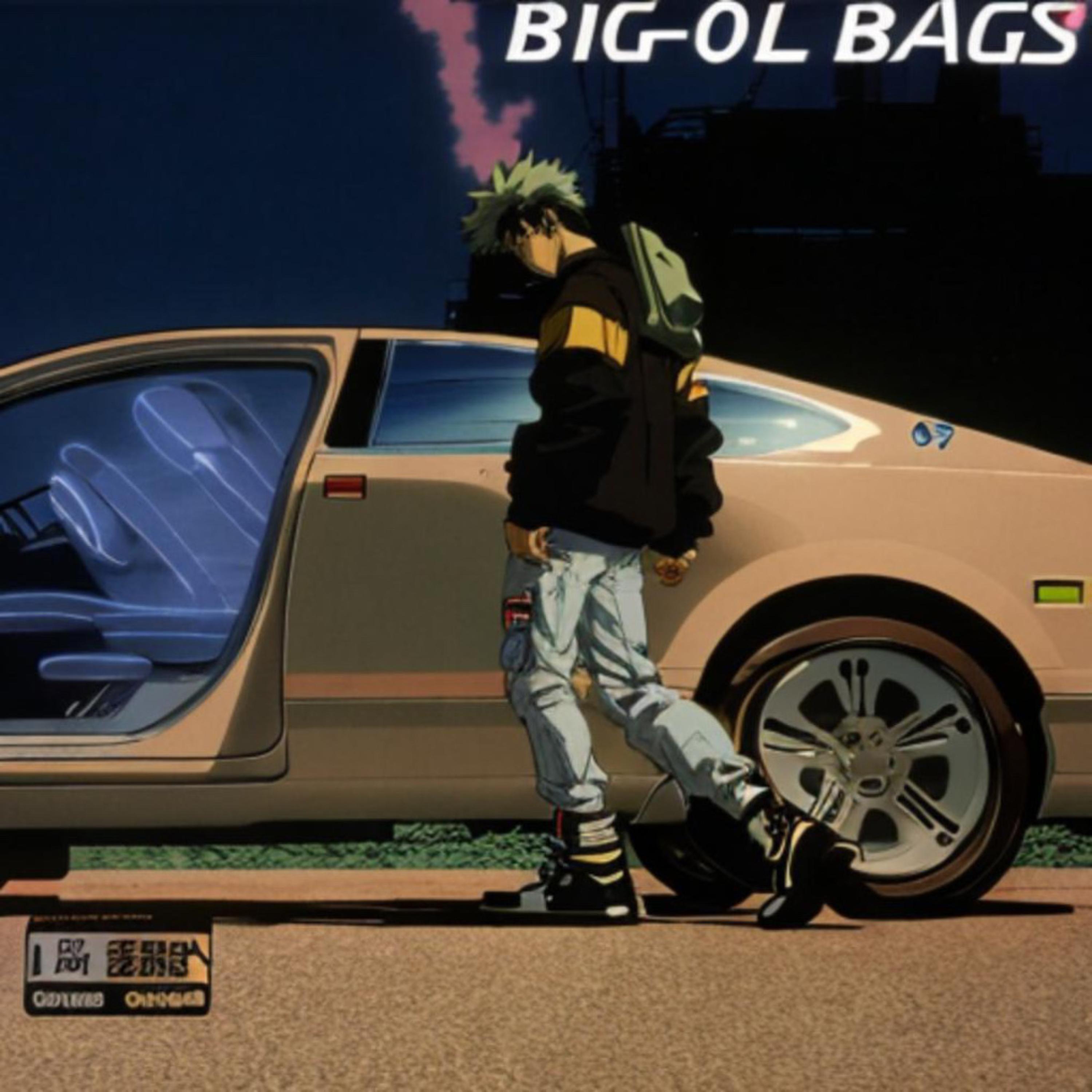 BIG OL BAGS artwork