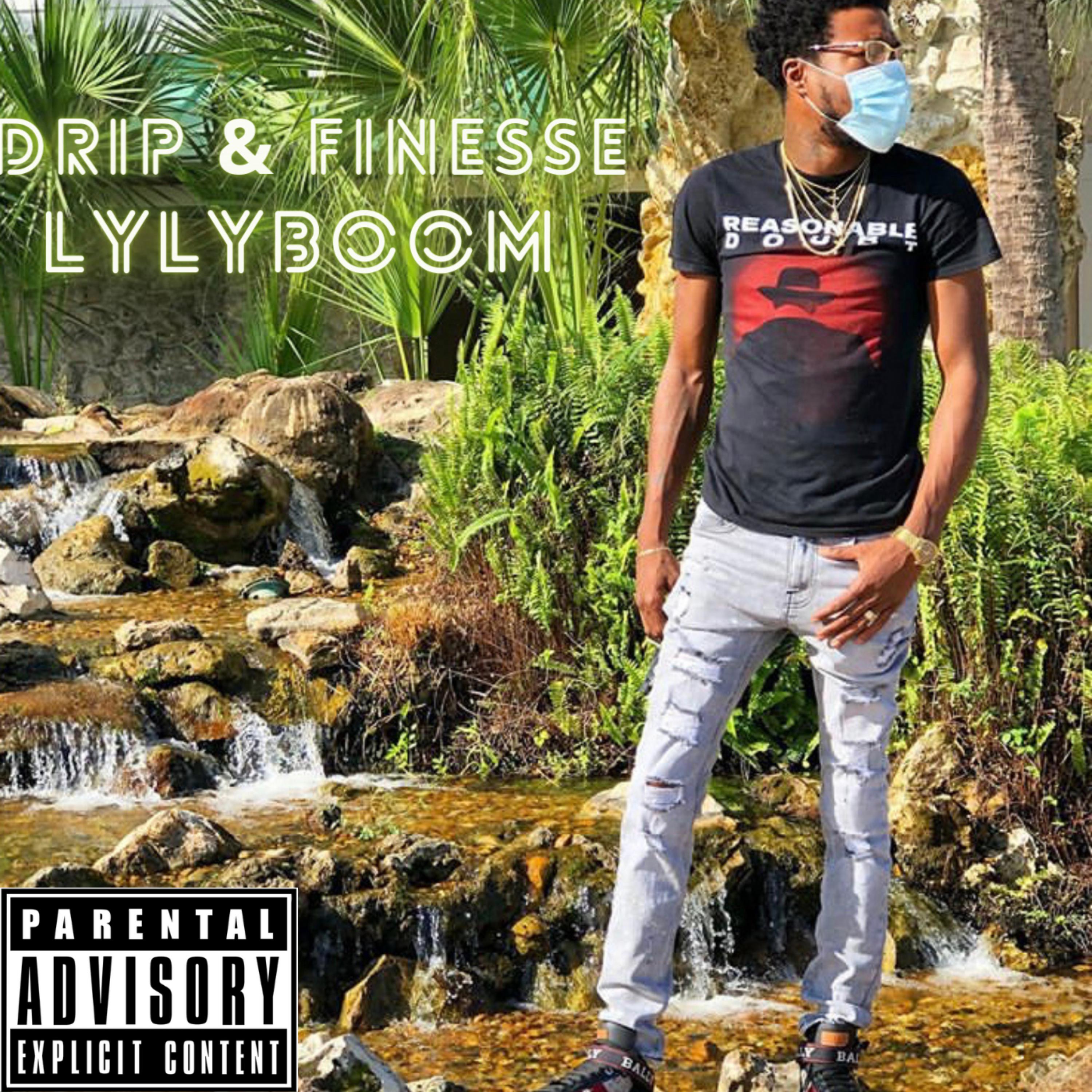 DRIP And FINESSE artwork