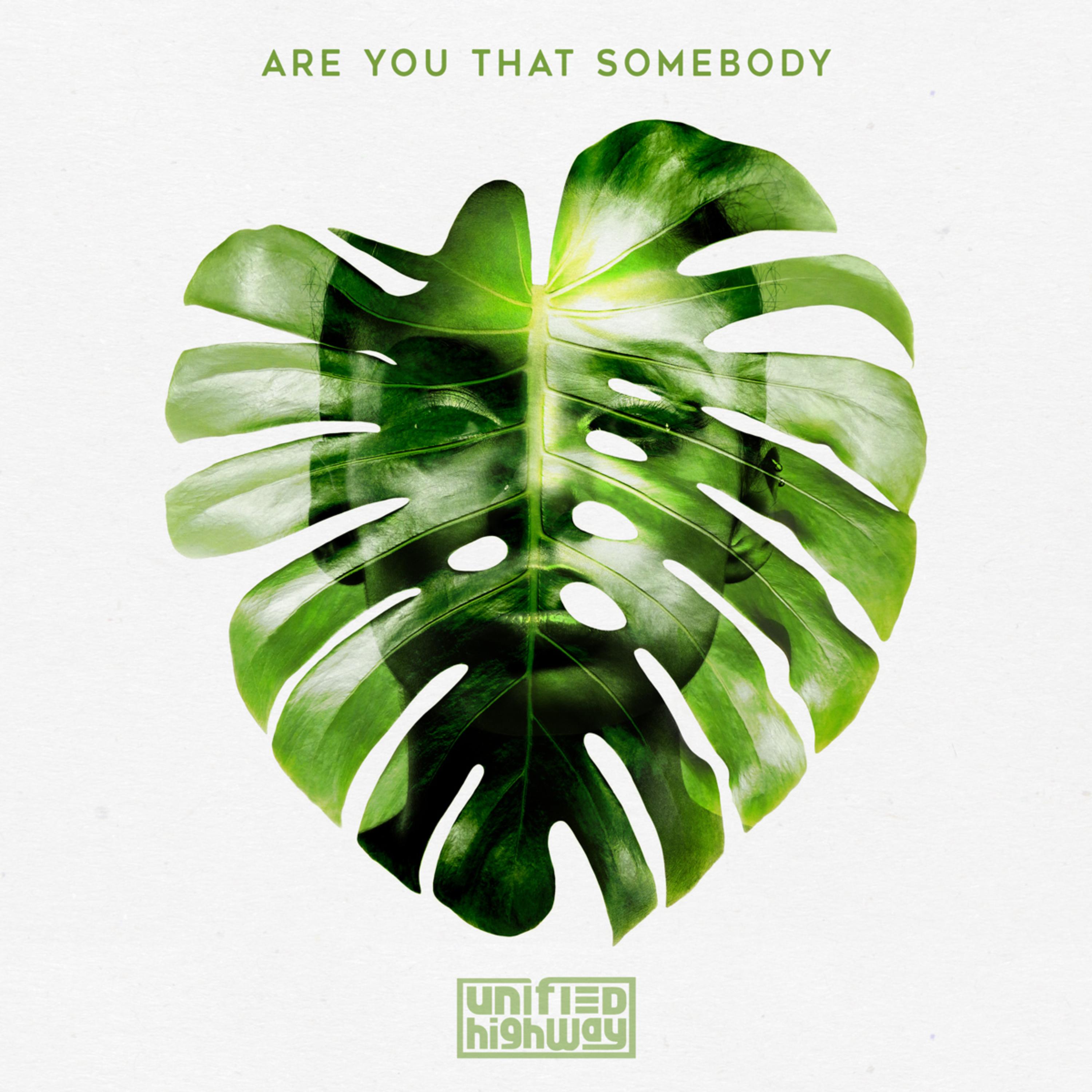 Are You That Somebody artwork