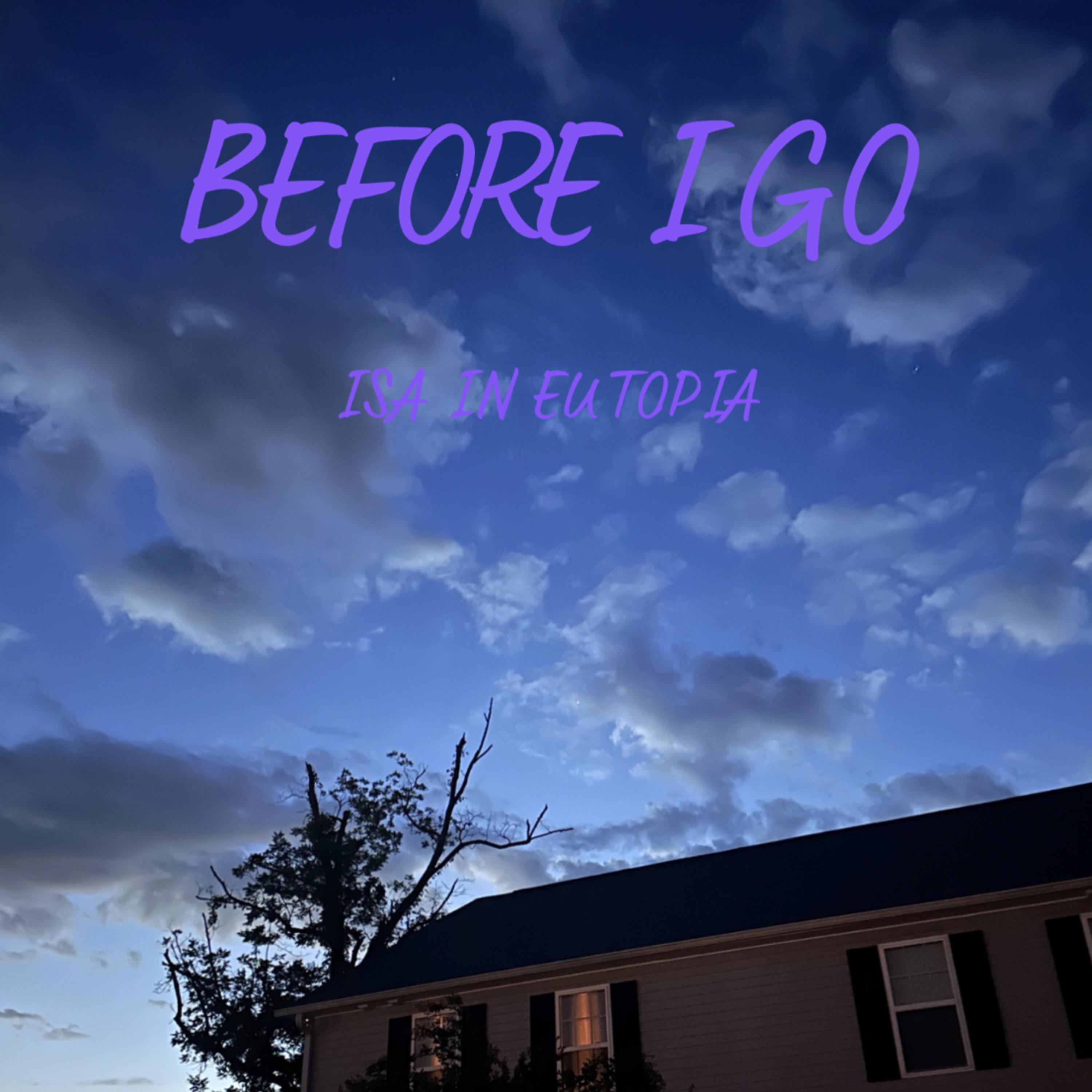 Before I Go artwork
