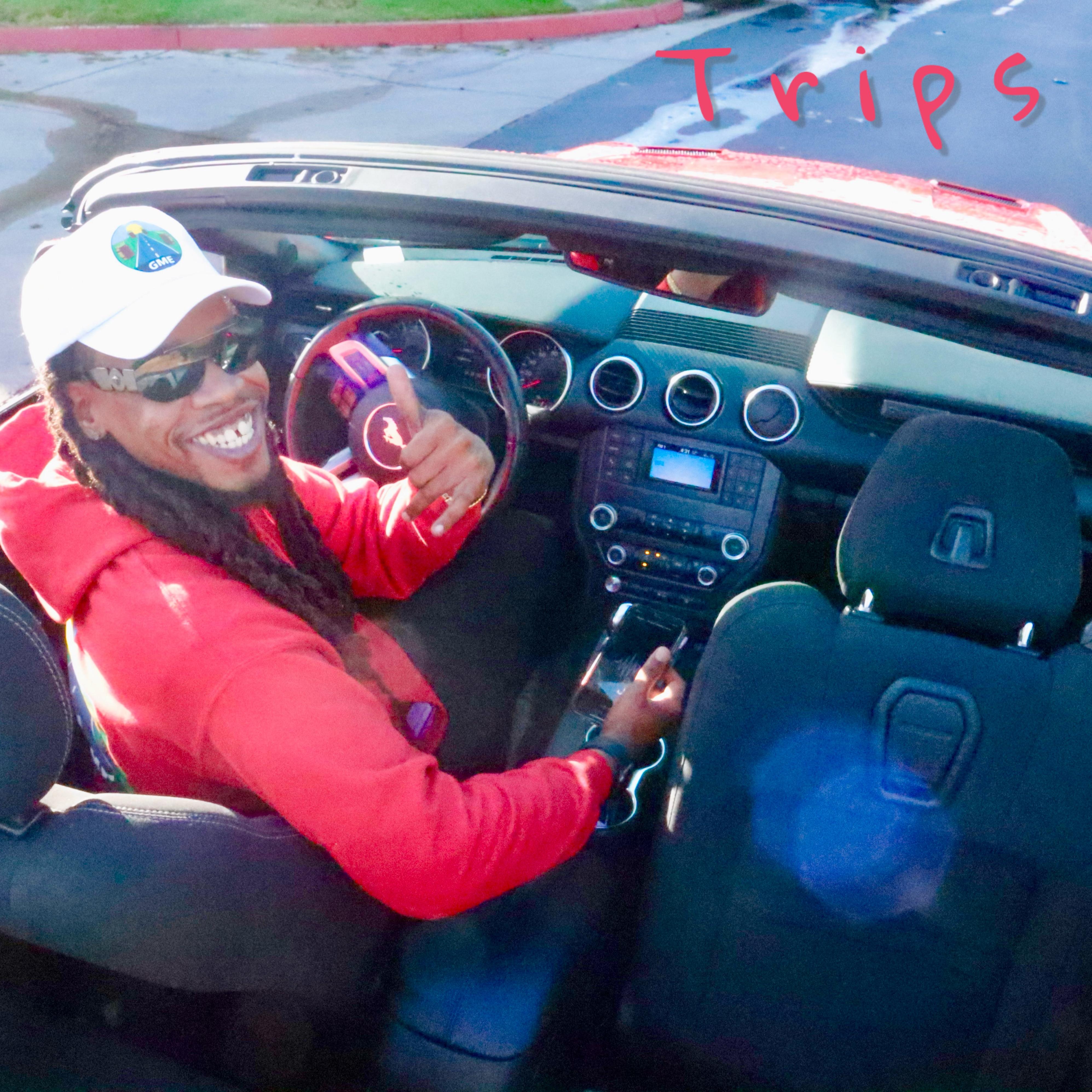 Trips artwork