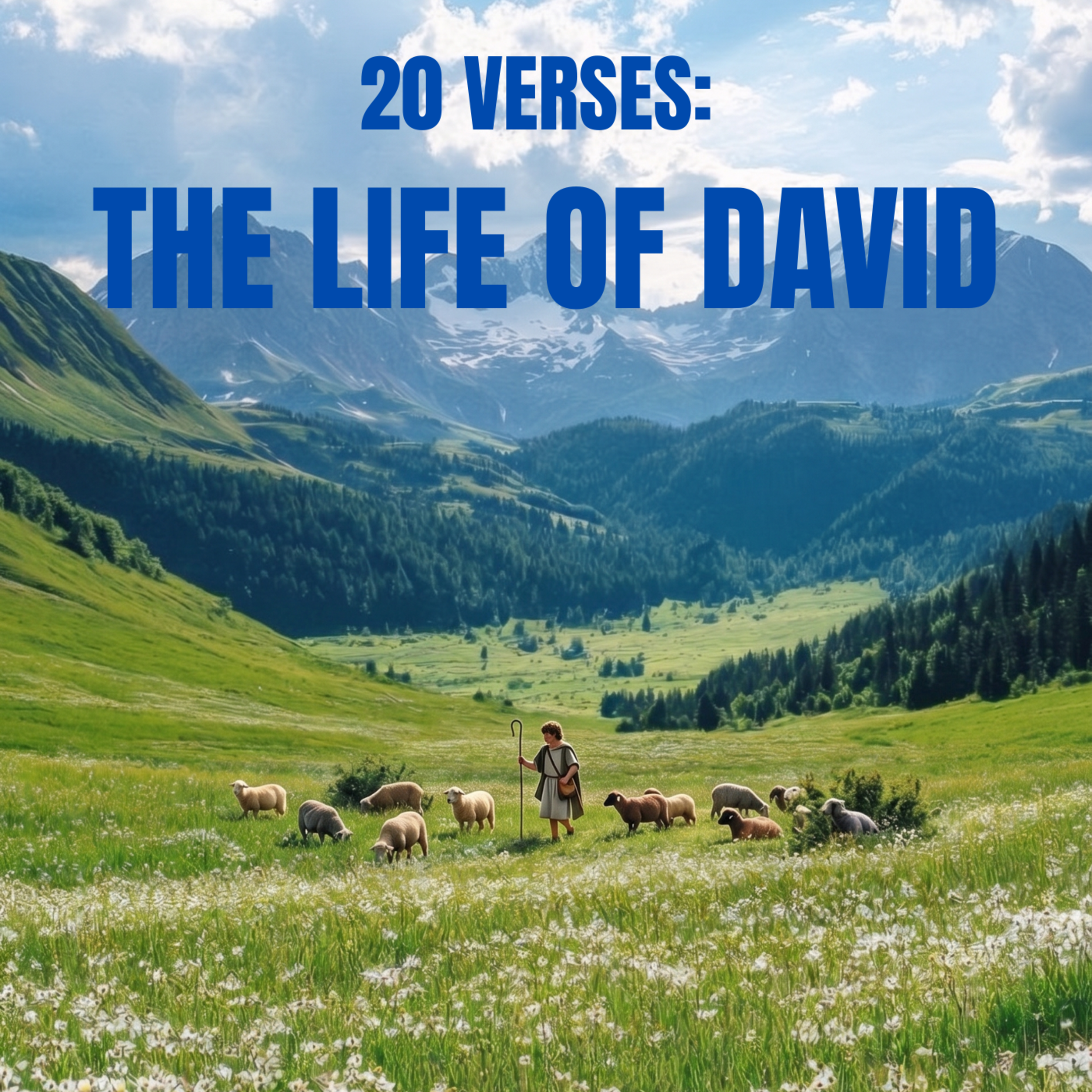 20 Verses: The Life of David by David Castle cover art