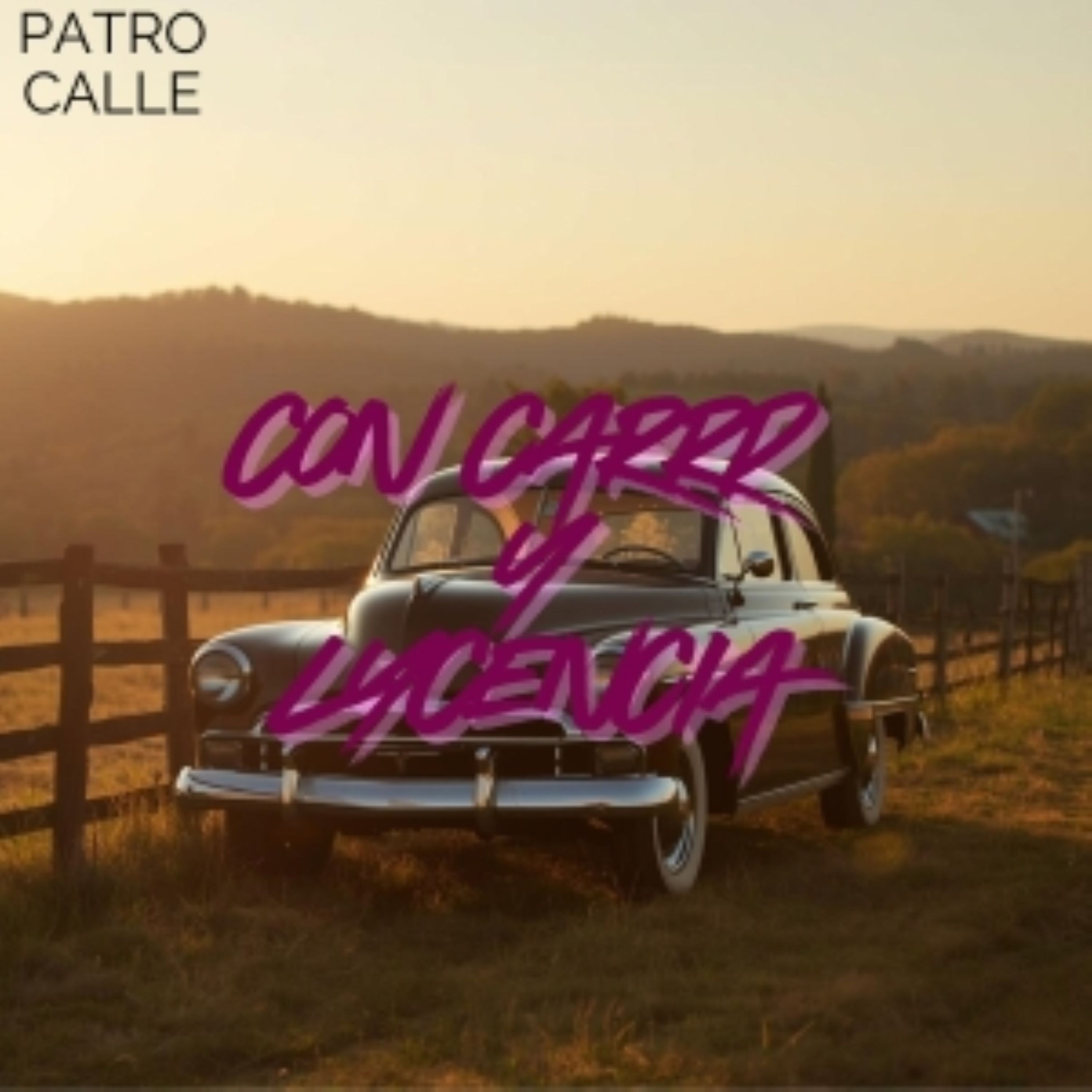 Con Carro y Licencia artwork
