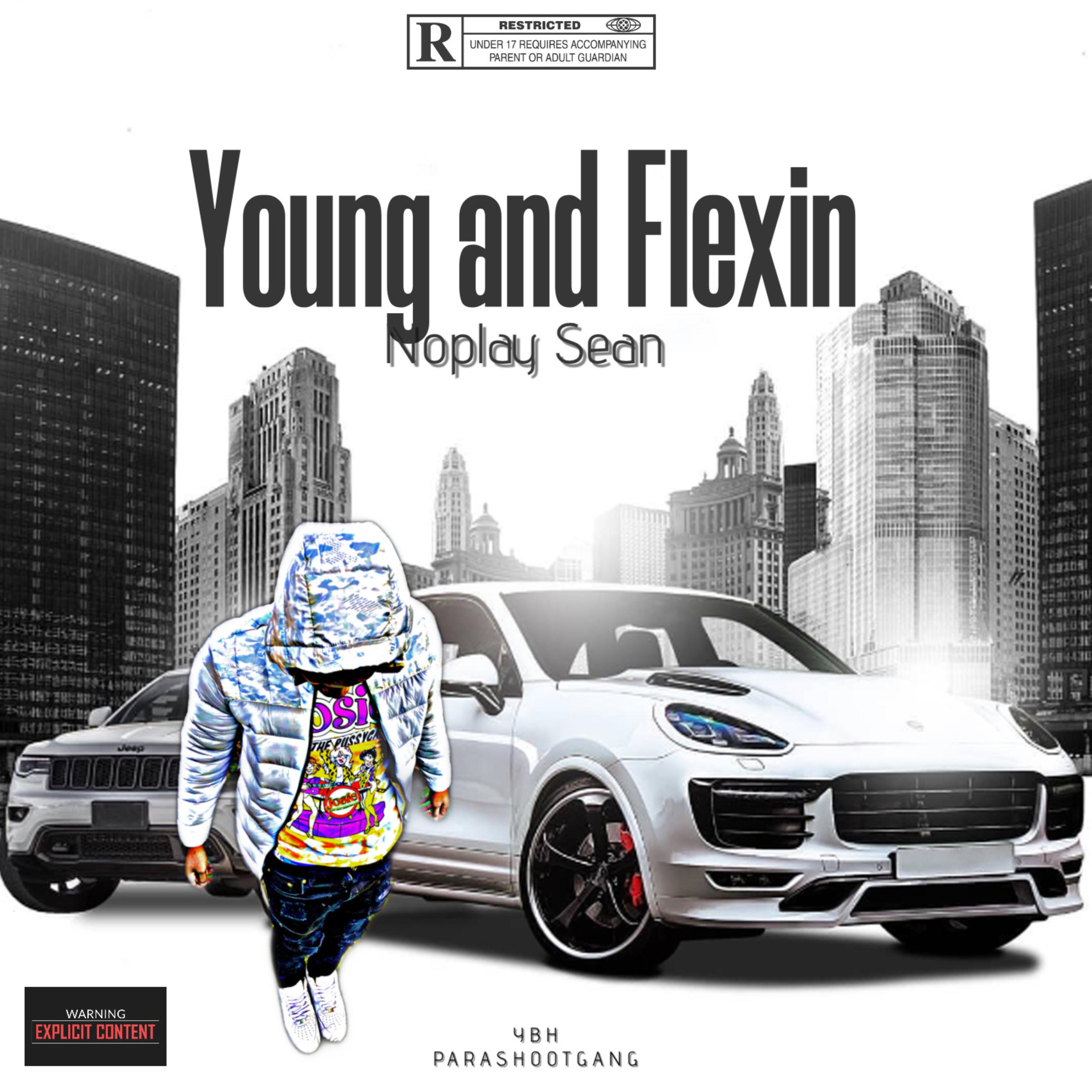 Young And Flexin artwork