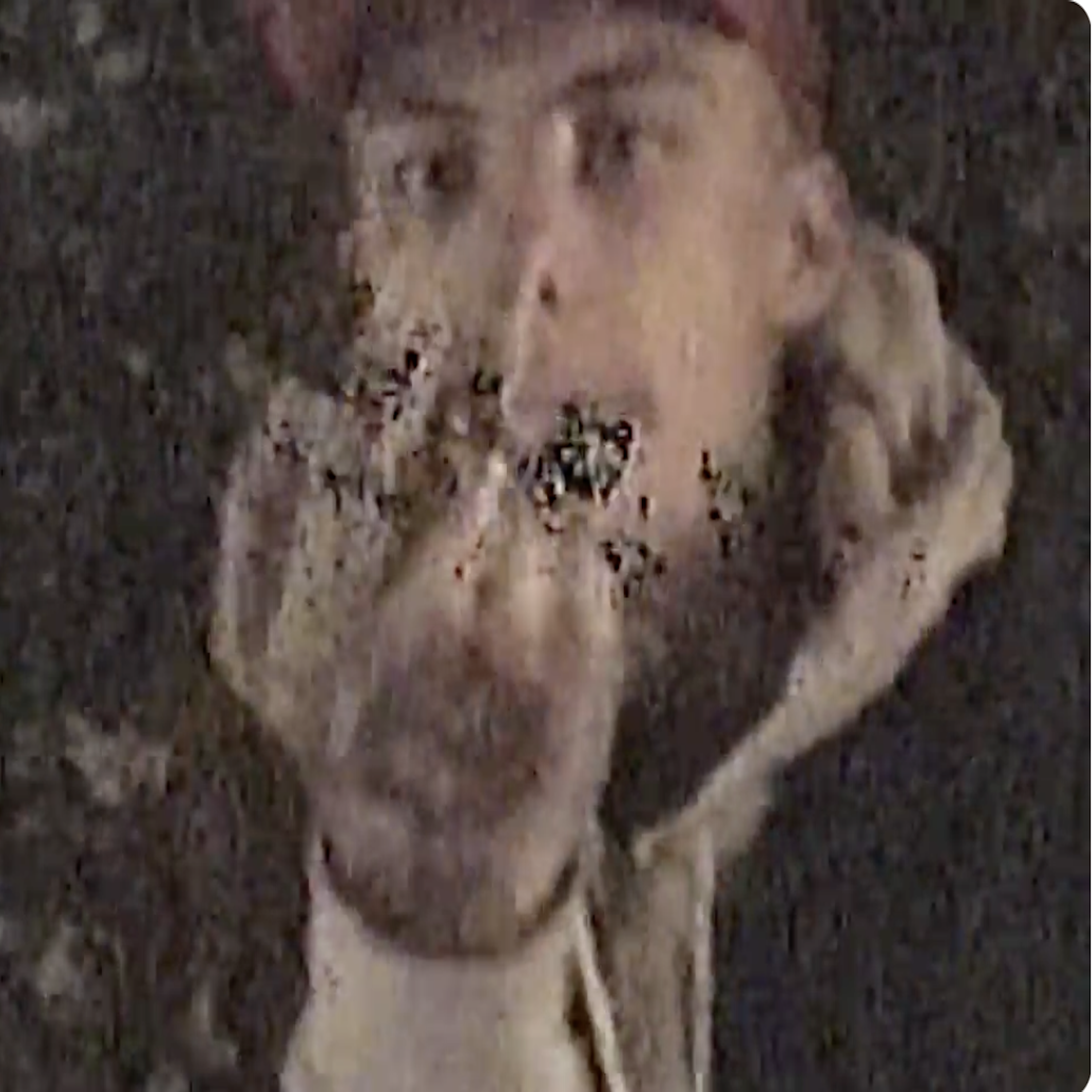 i hate this feeling artwork