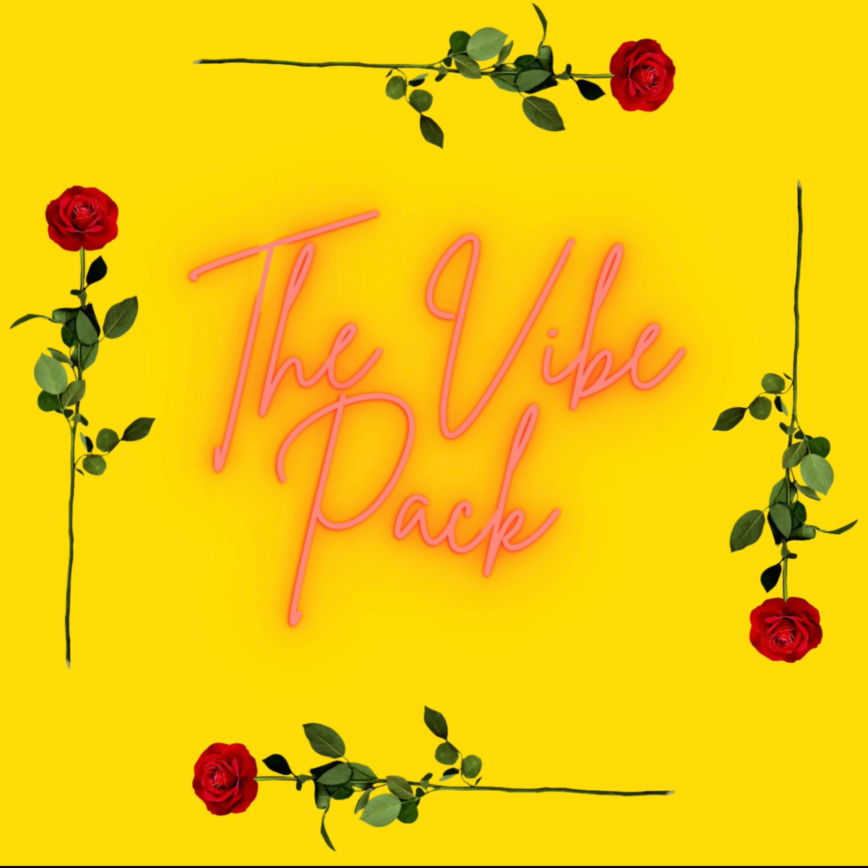 The Vibe Pack by Cam Stephens cover art