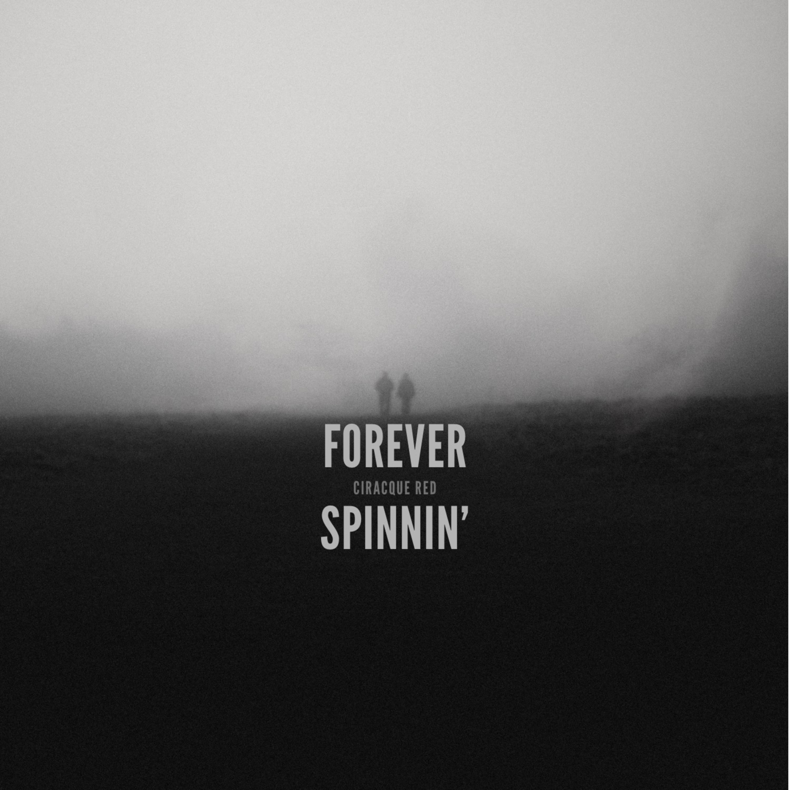 Too Fly To Be Indirect artwork