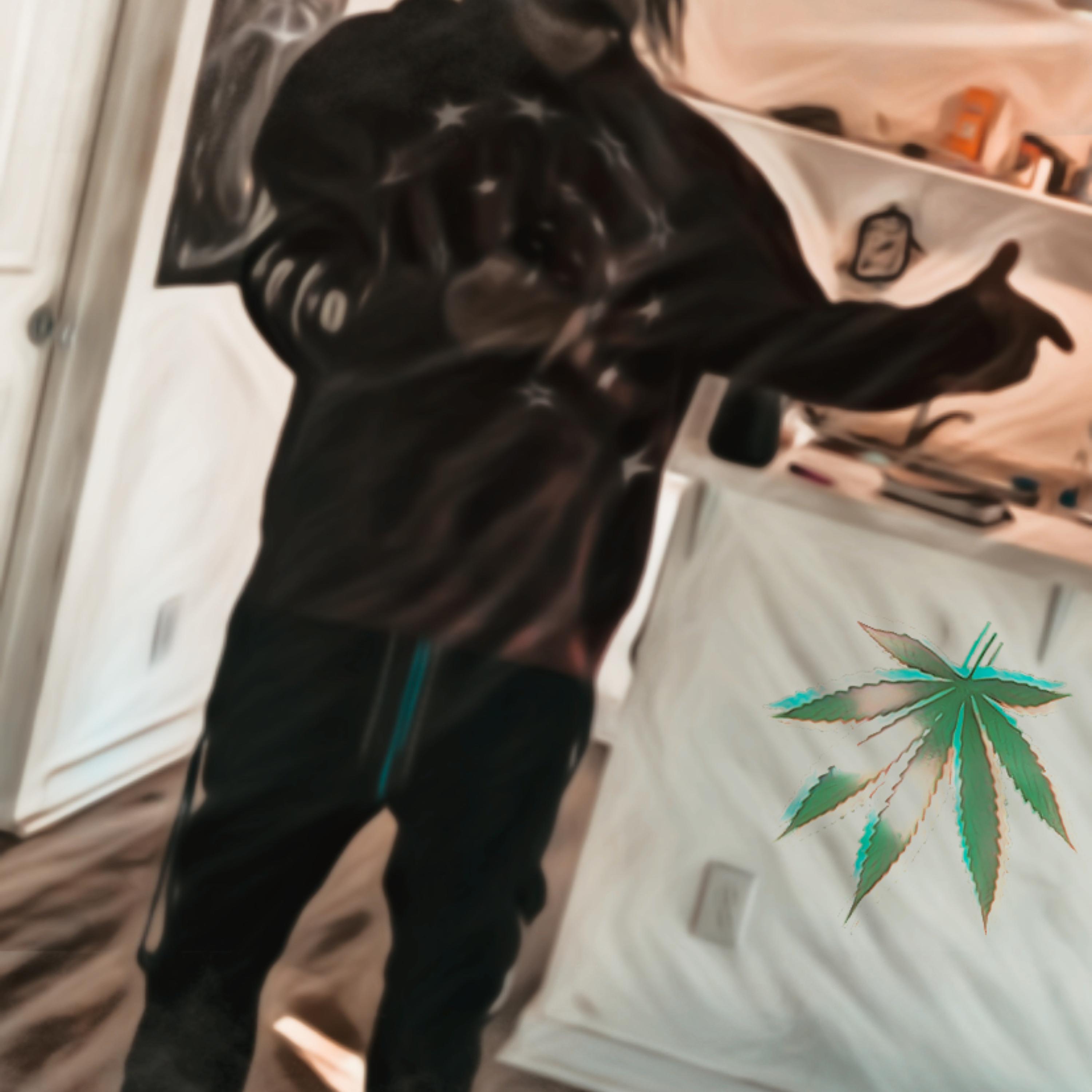 Plug Life artwork