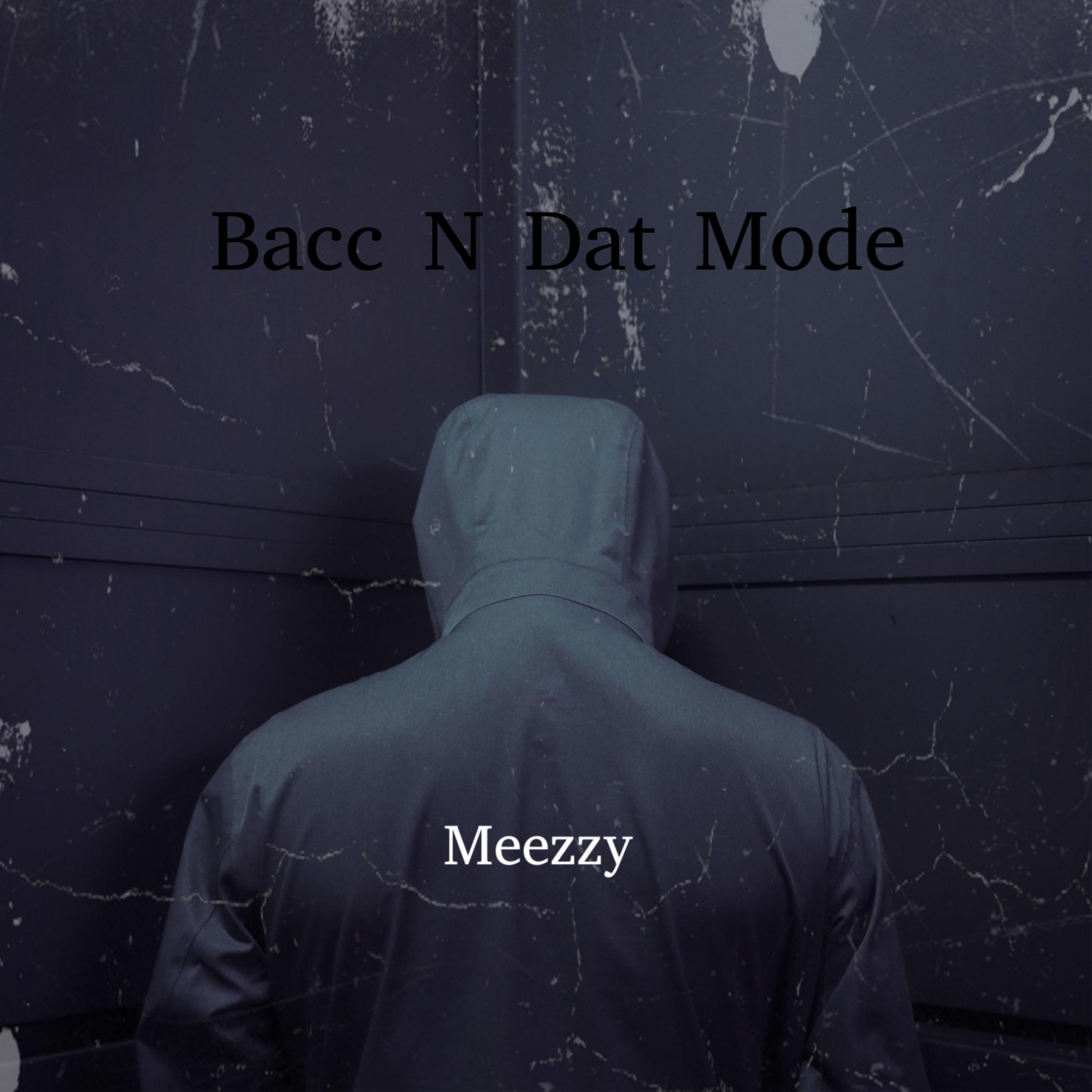 Bacc N Dat Mode artwork