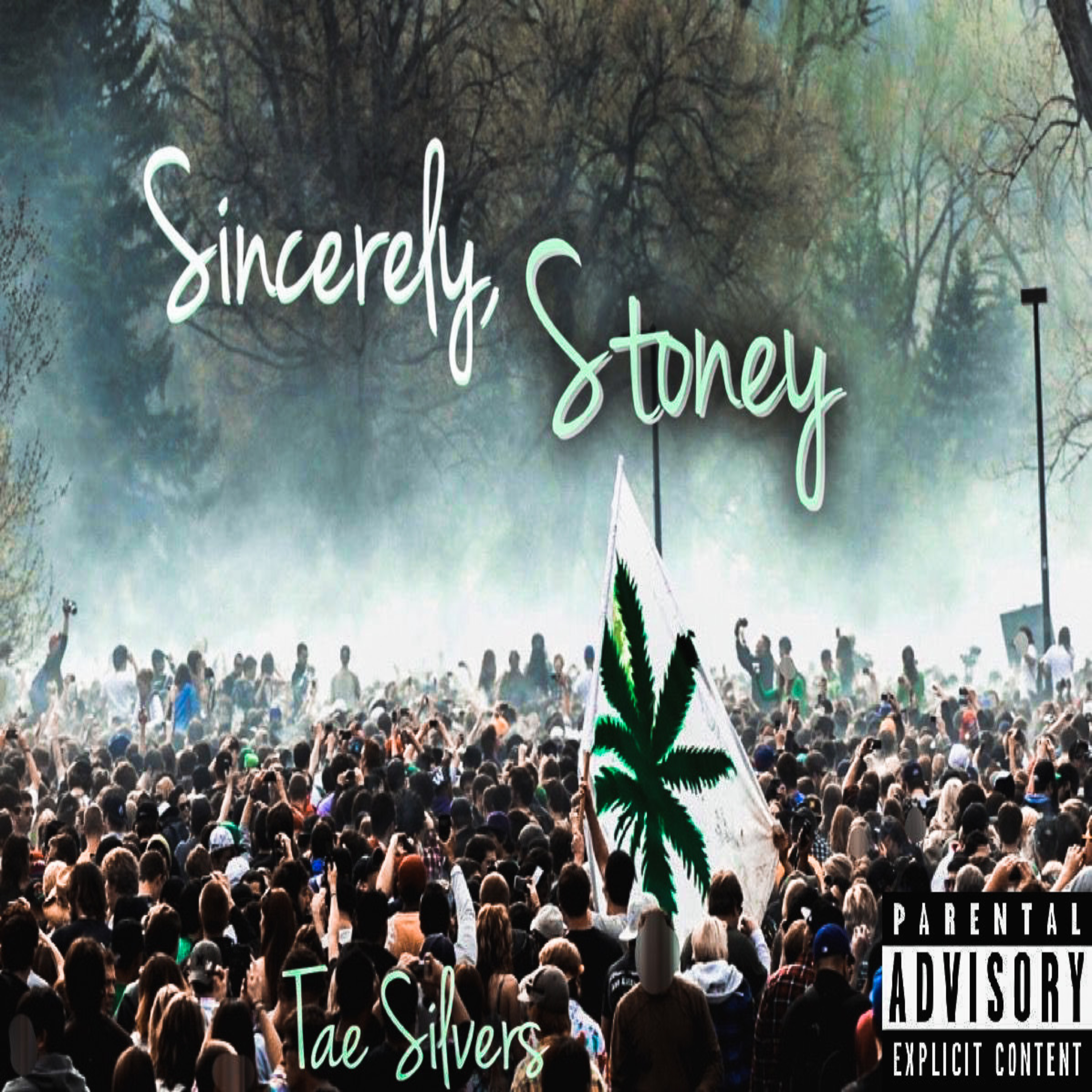Sincerely, Stoney by Tae Silvers cover art