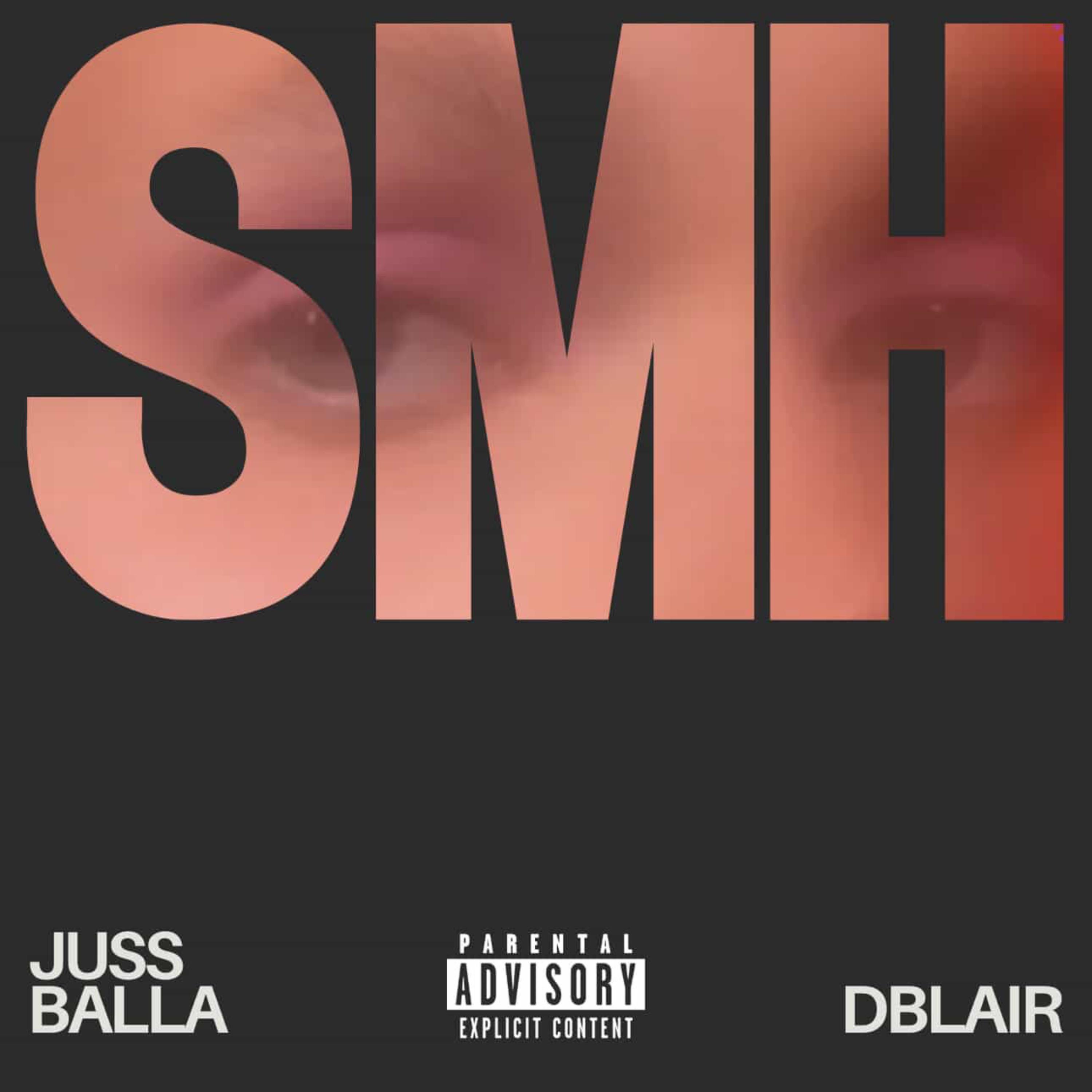 SMH artwork