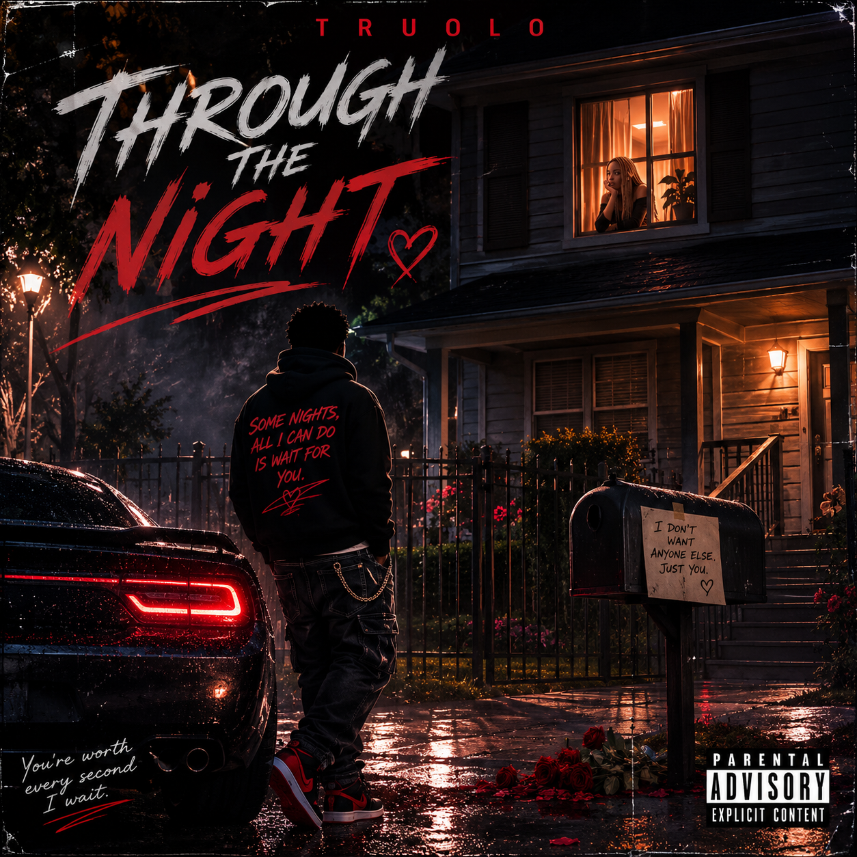 Through The Night by Truolo cover art