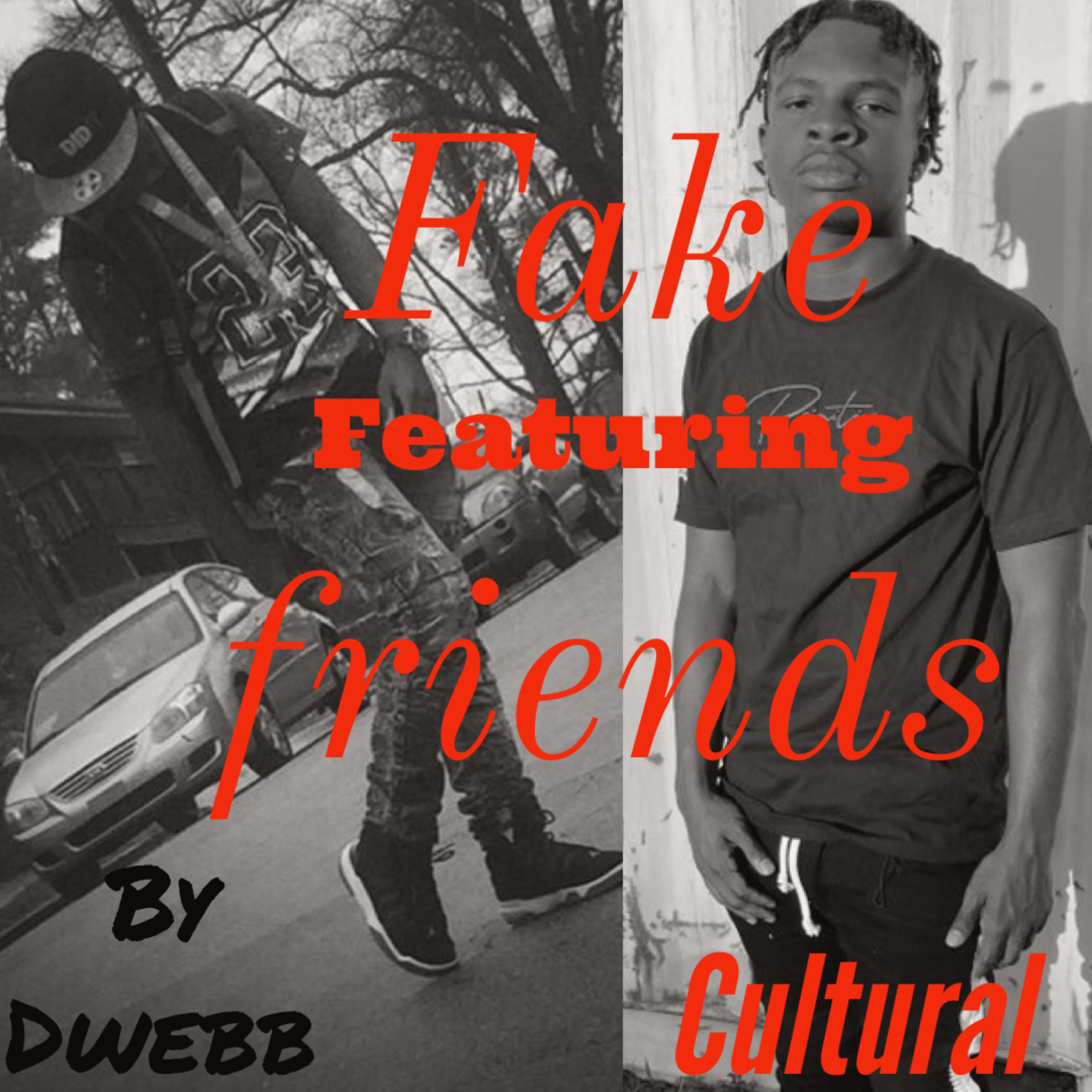 Fake Friends artwork