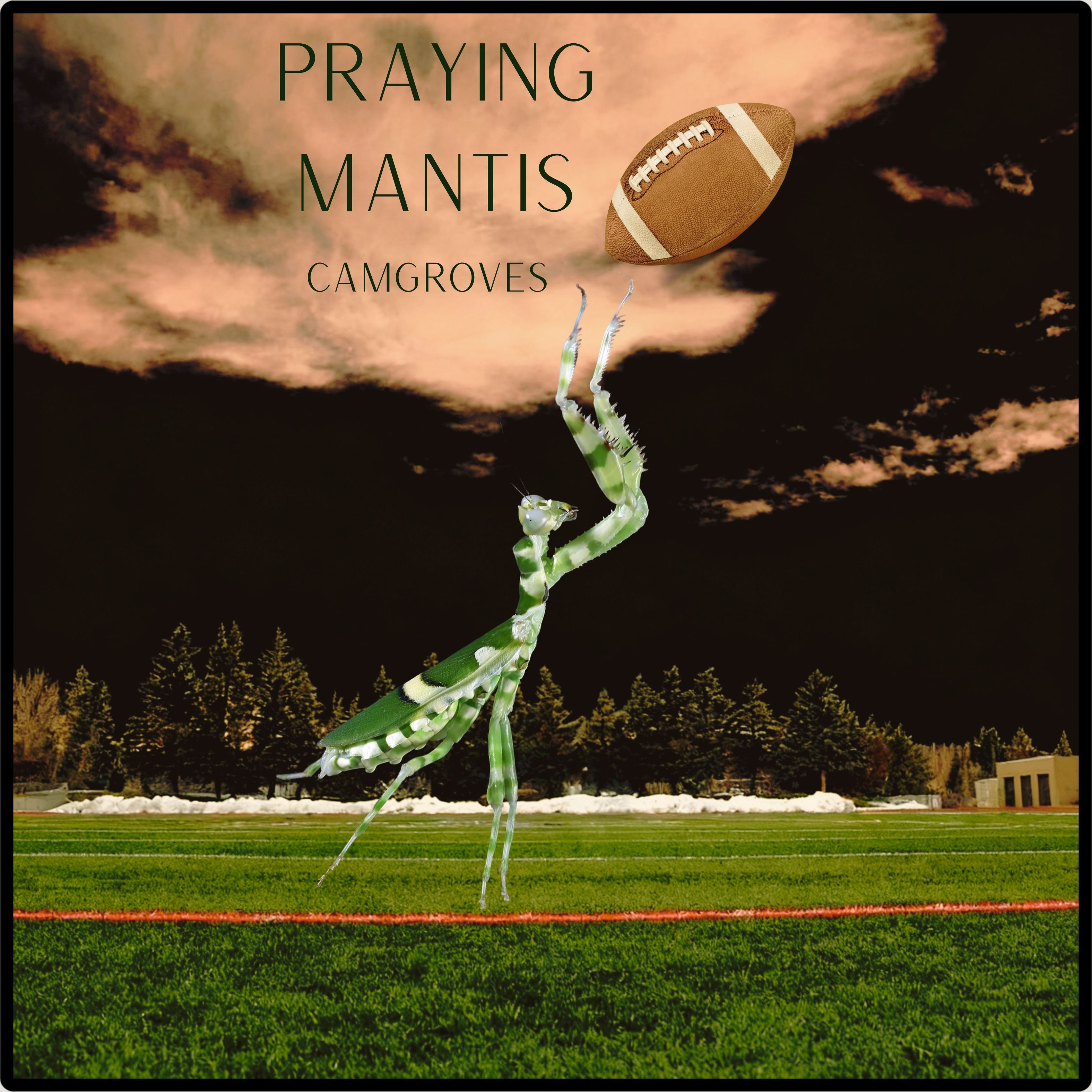 Praying Mantis artwork