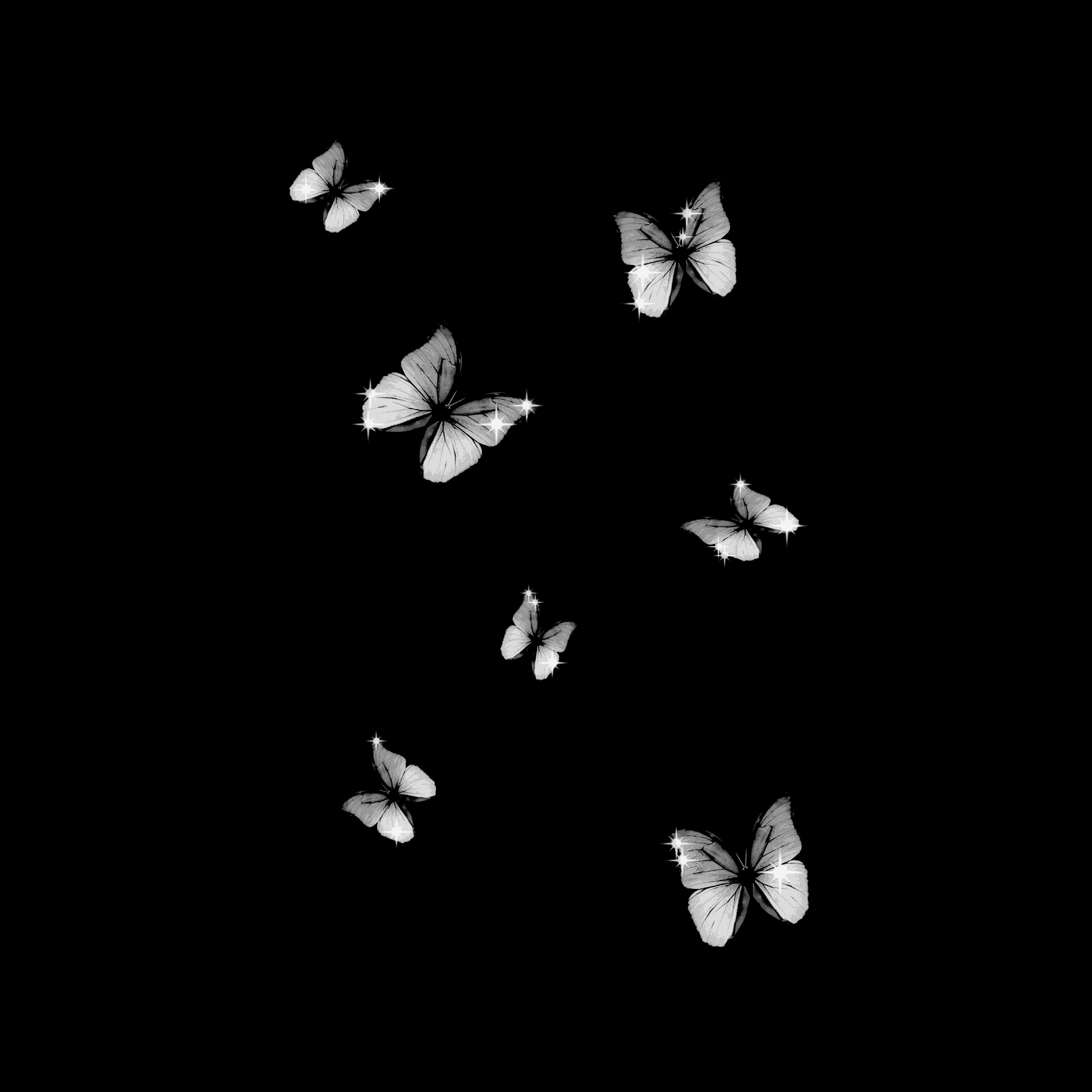 BUTTERFLIES artwork