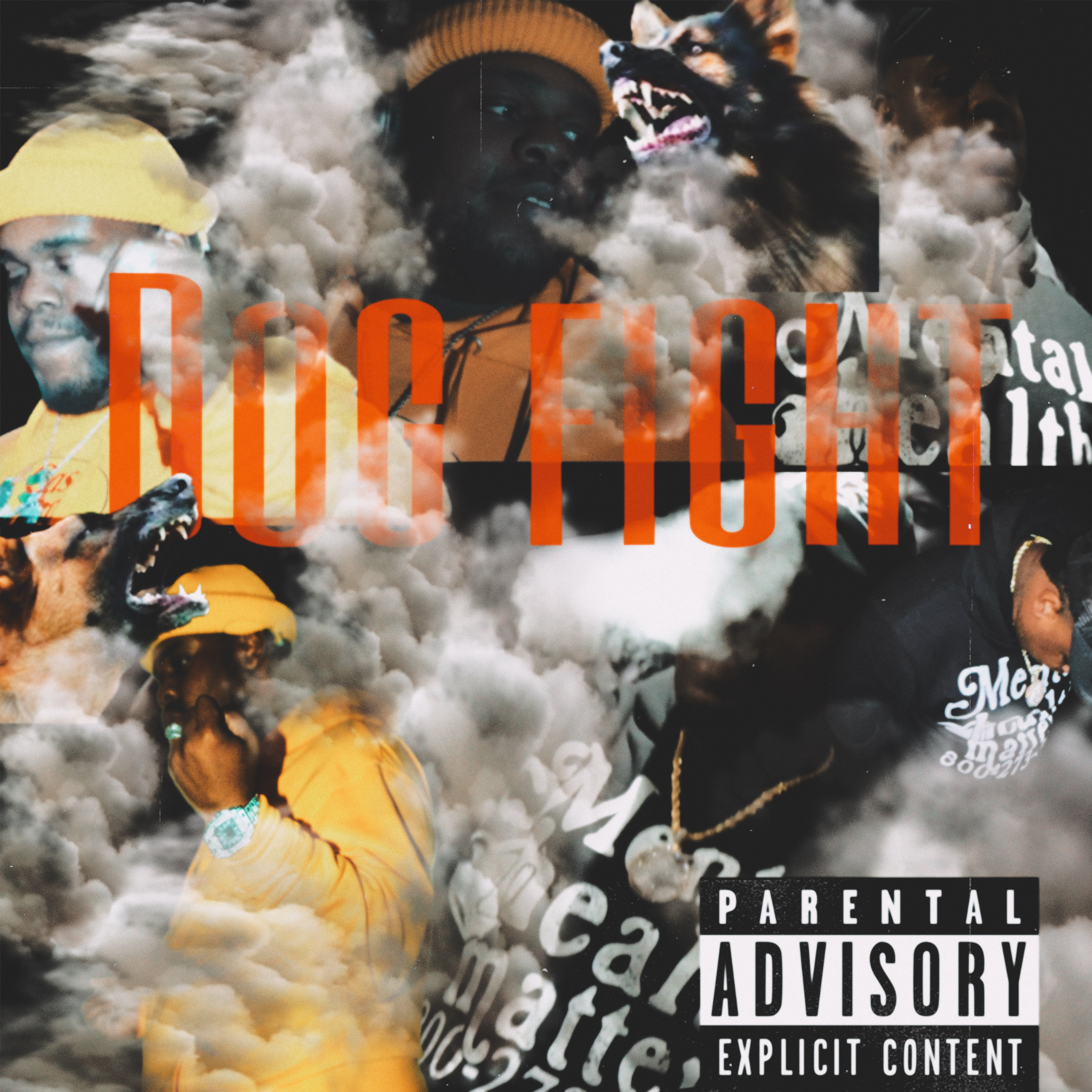 DOG FIGHT artwork