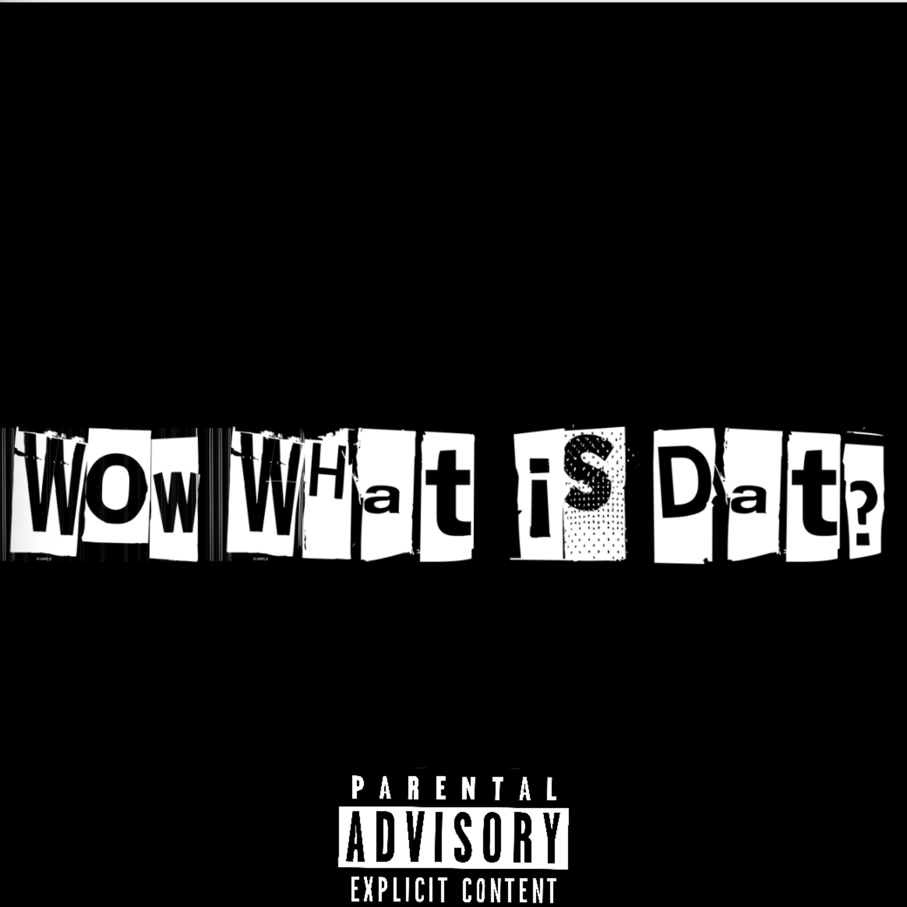 Wow What Is Dat? artwork