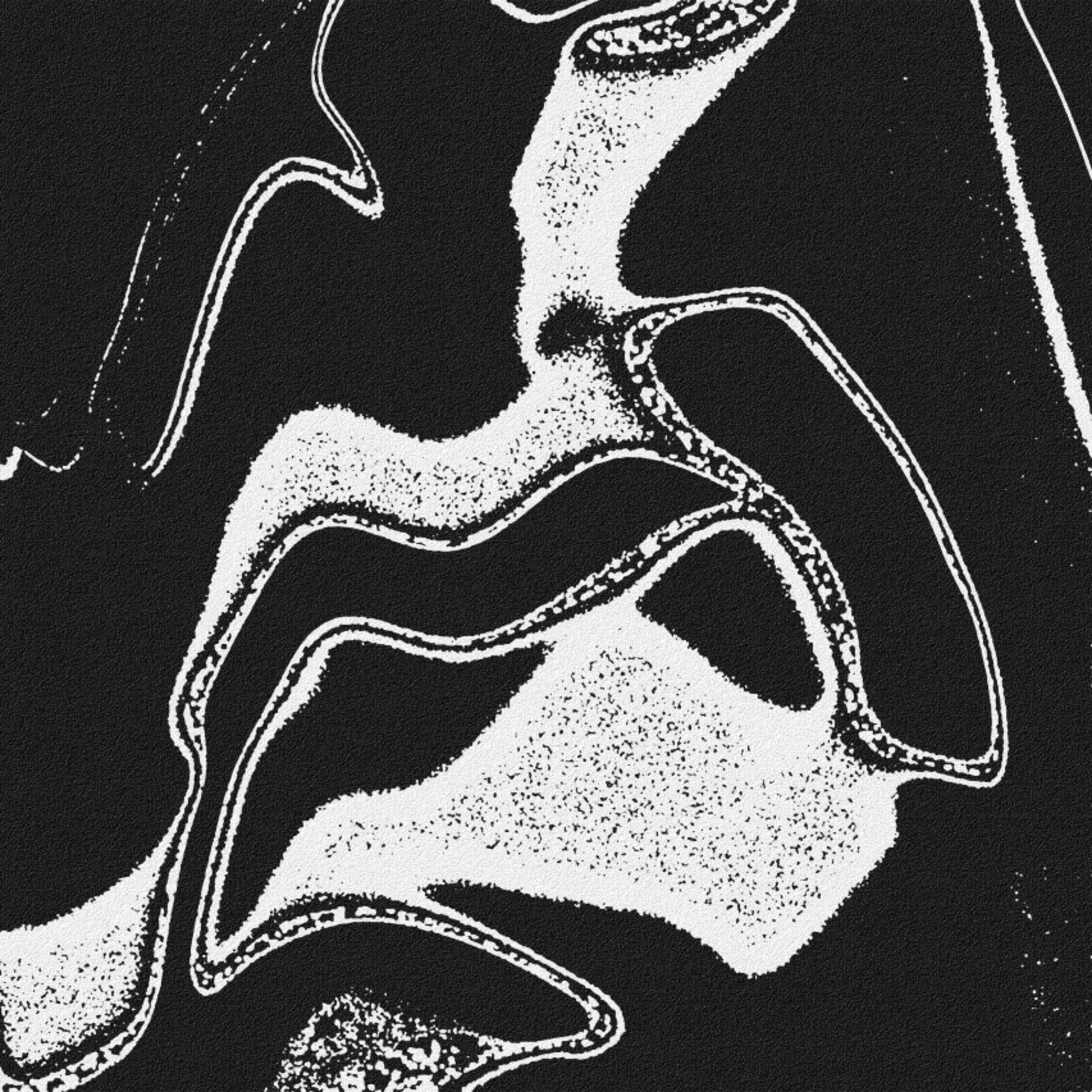 amihandsomeorsum? artwork