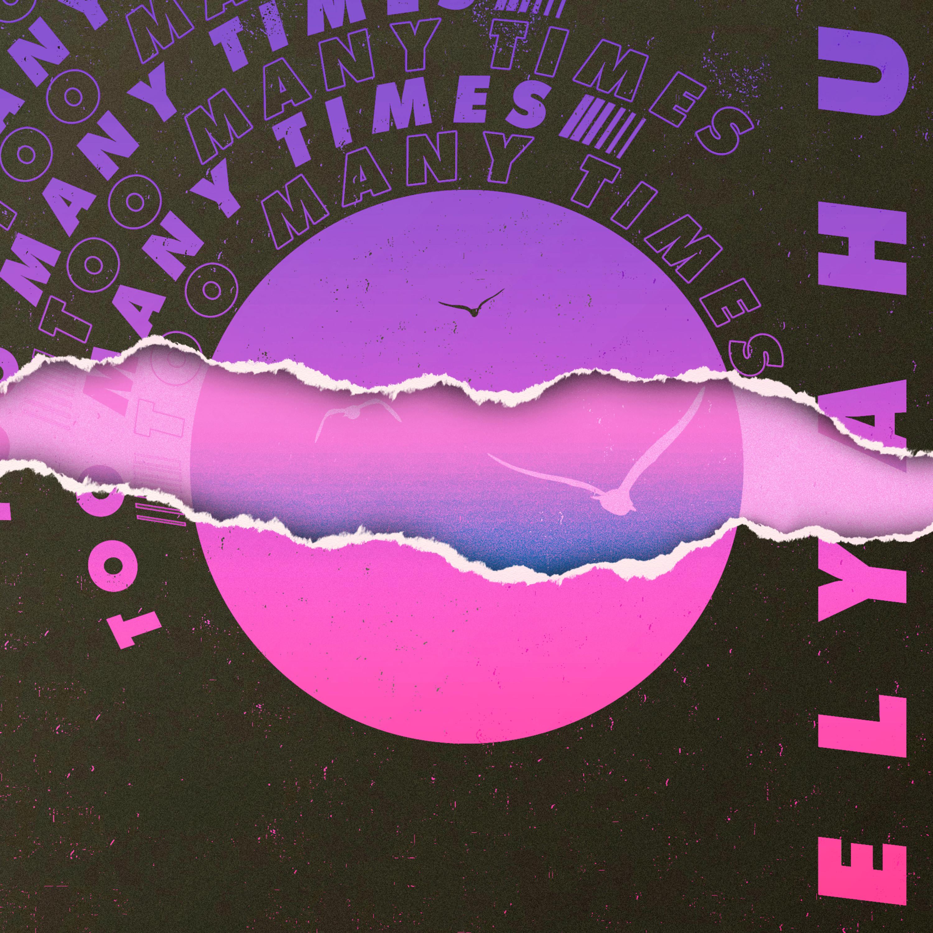 Too Many Times artwork