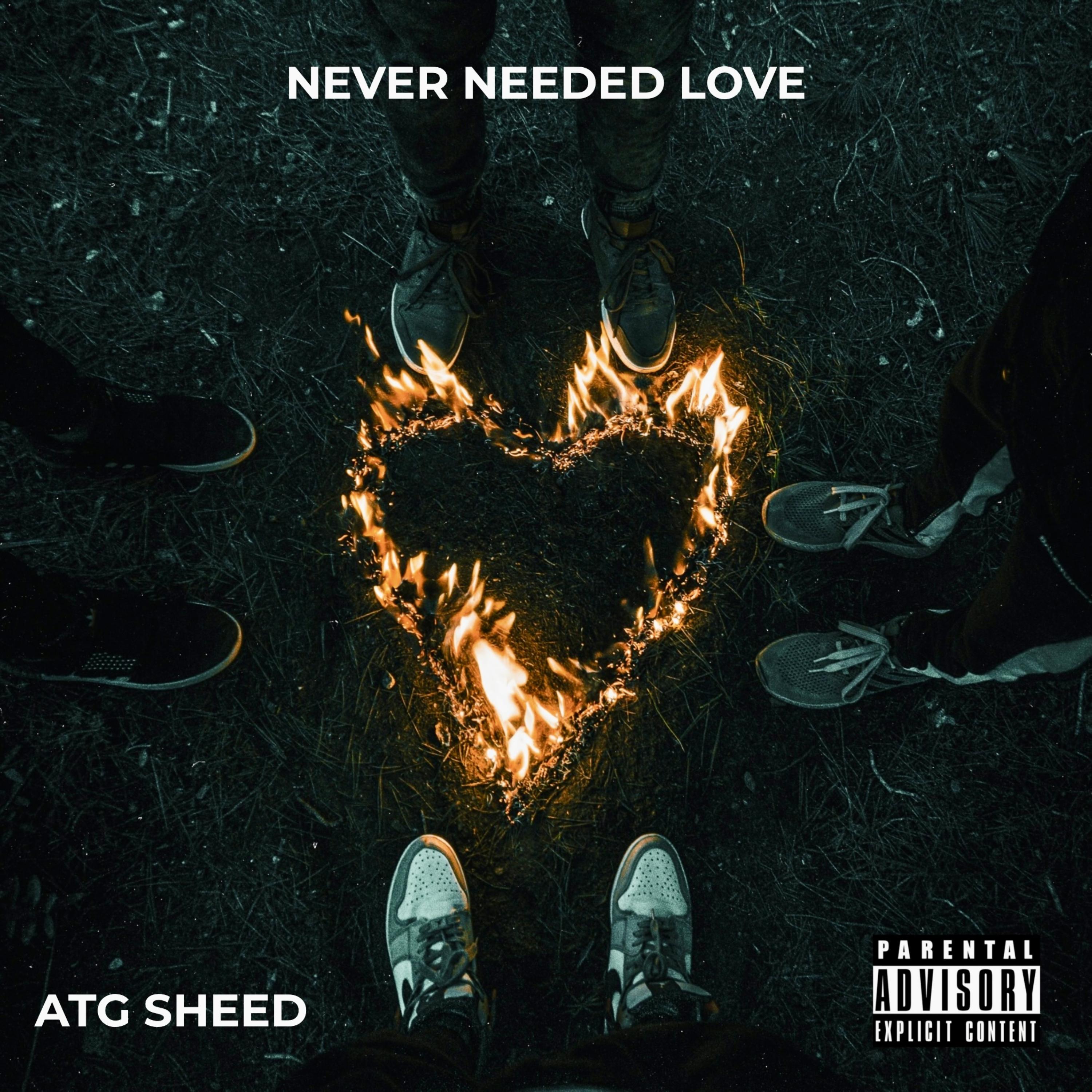 Never Needed Love artwork