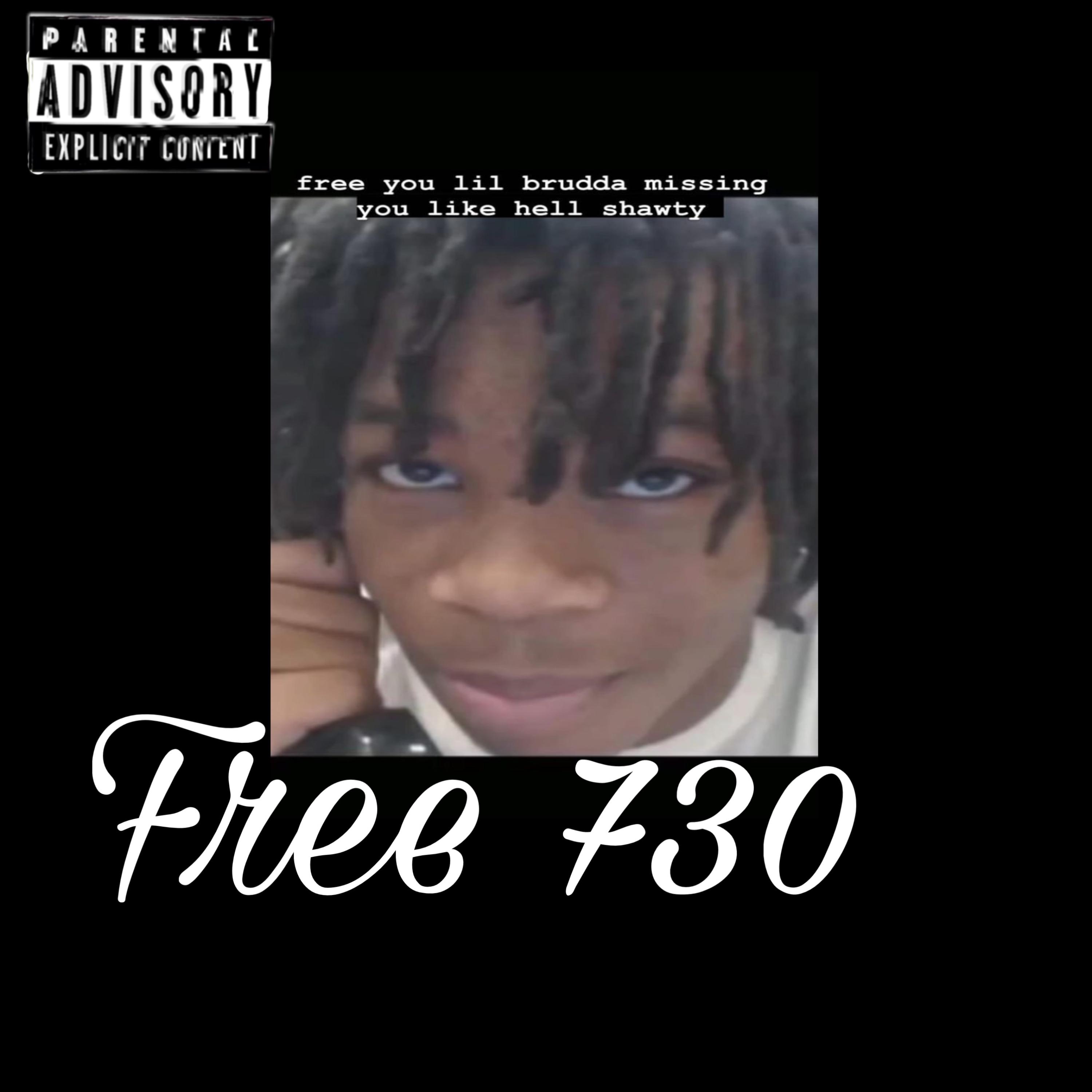 Free 730 artwork