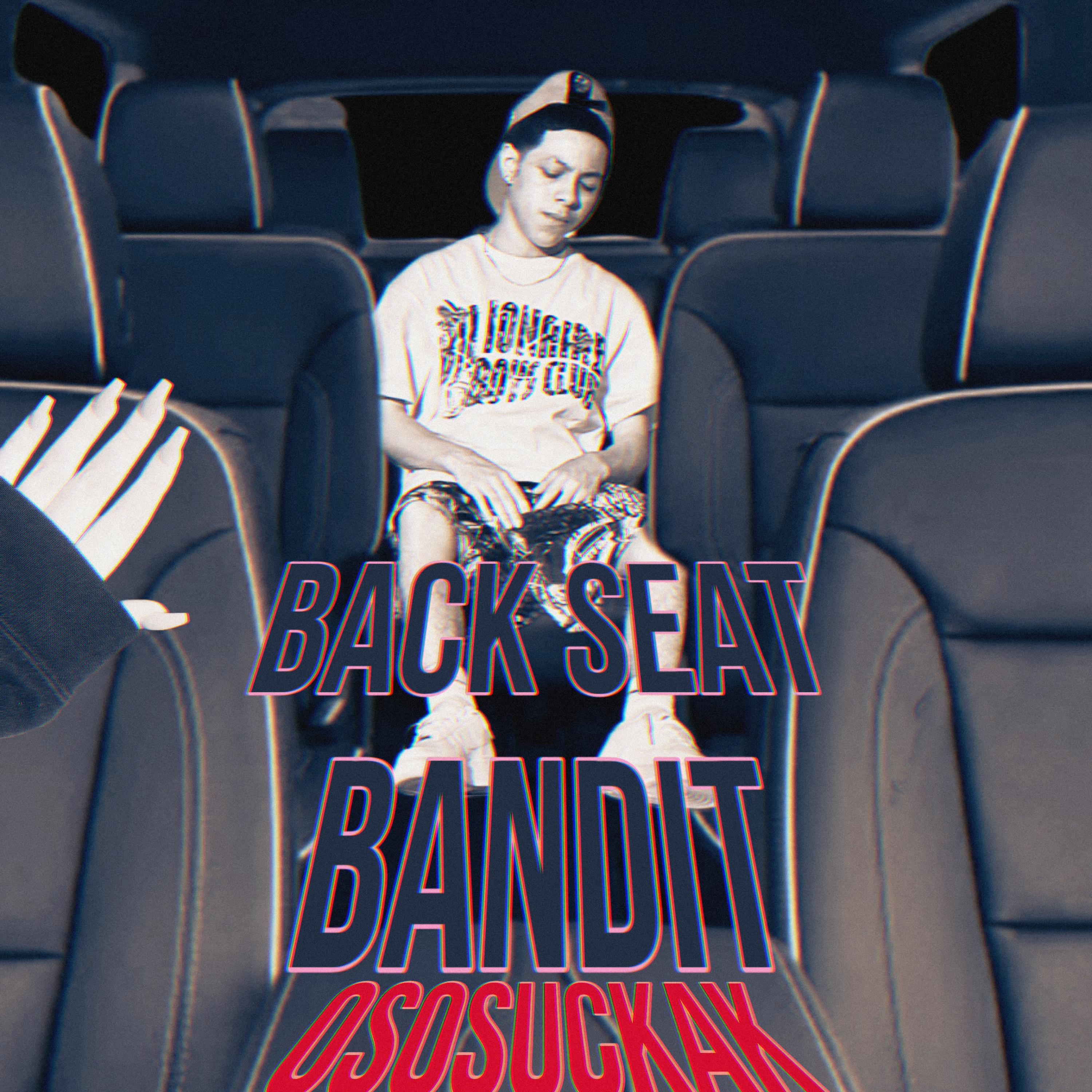 Back Seat Bandit artwork