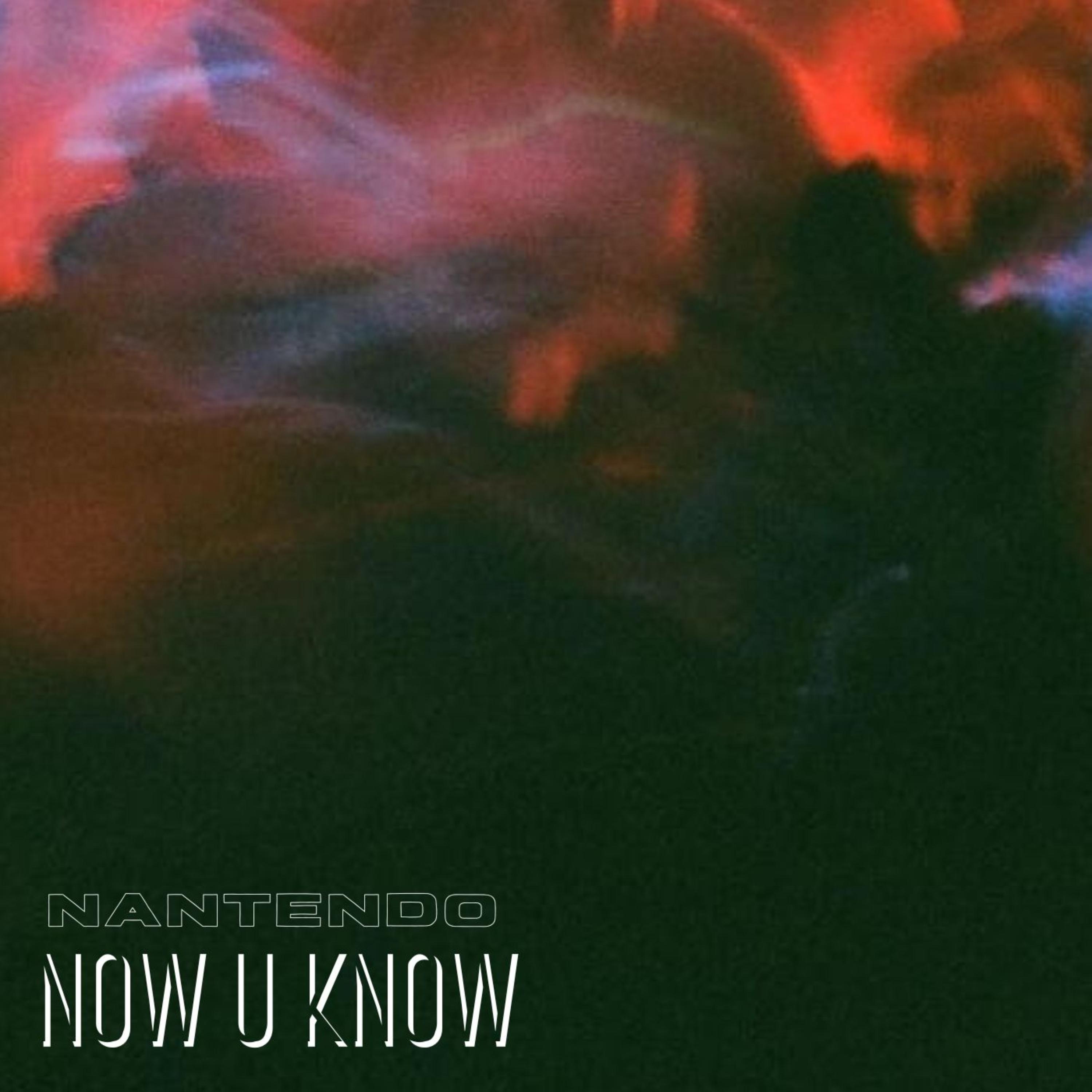 Now U Know artwork