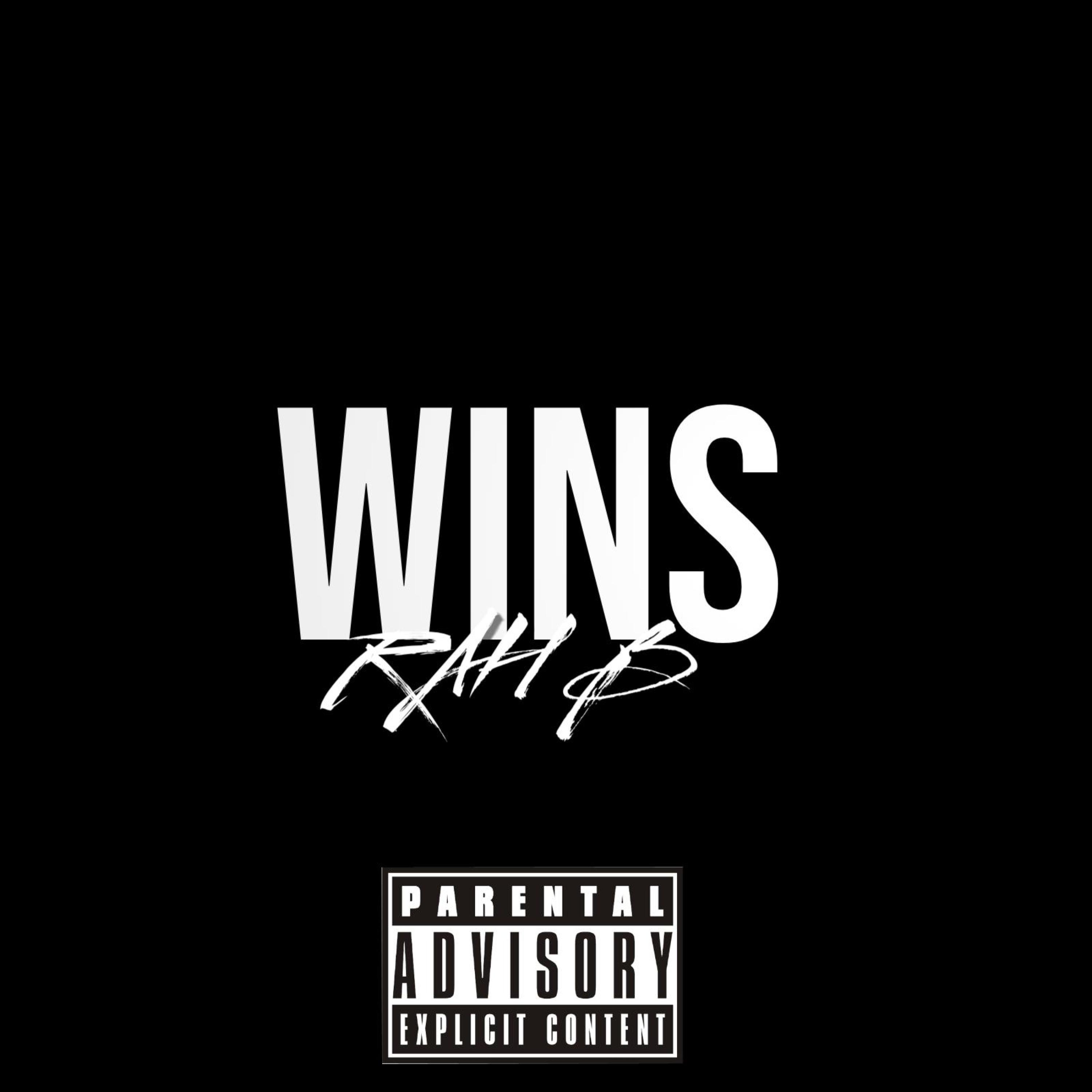 WINS artwork