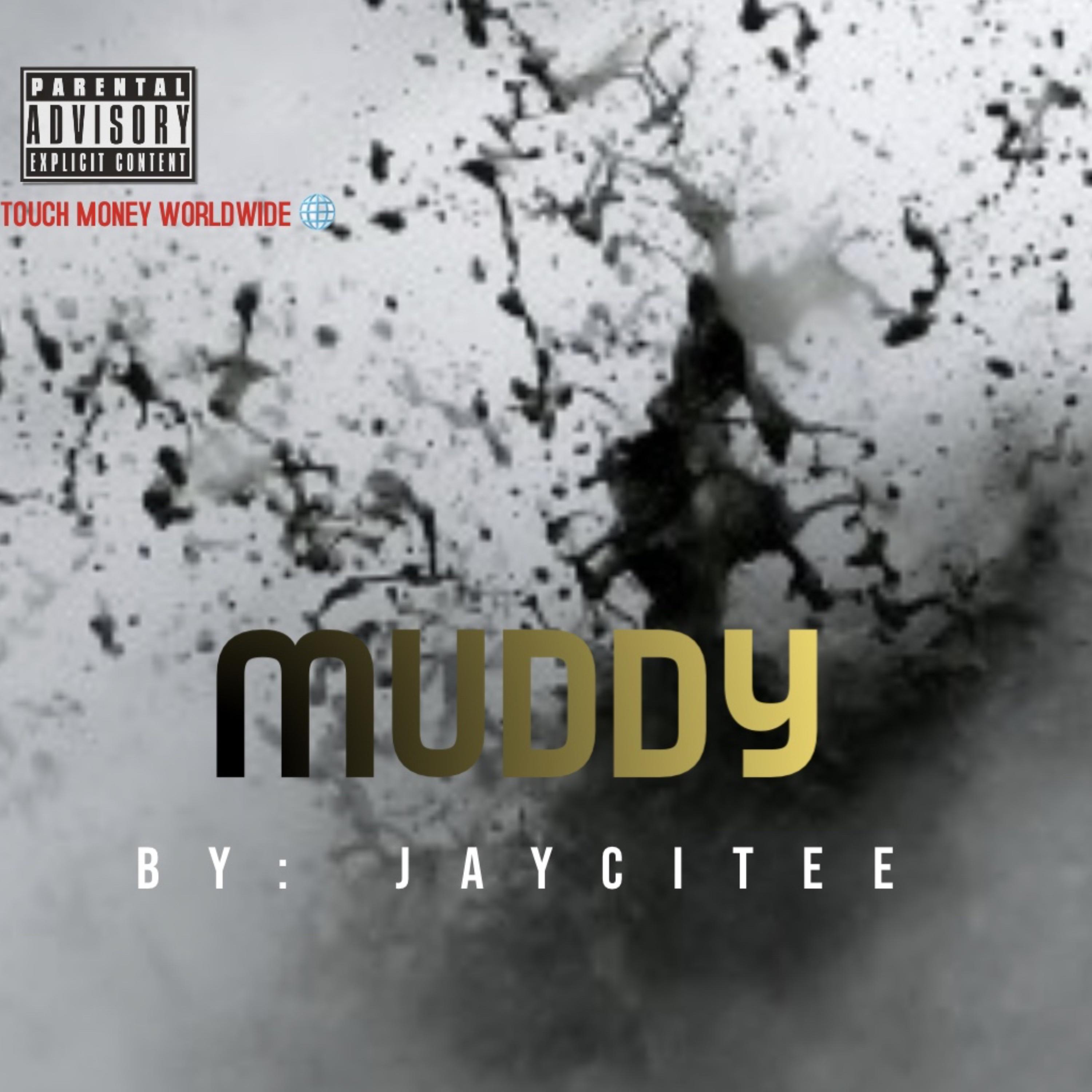 Muddy artwork
