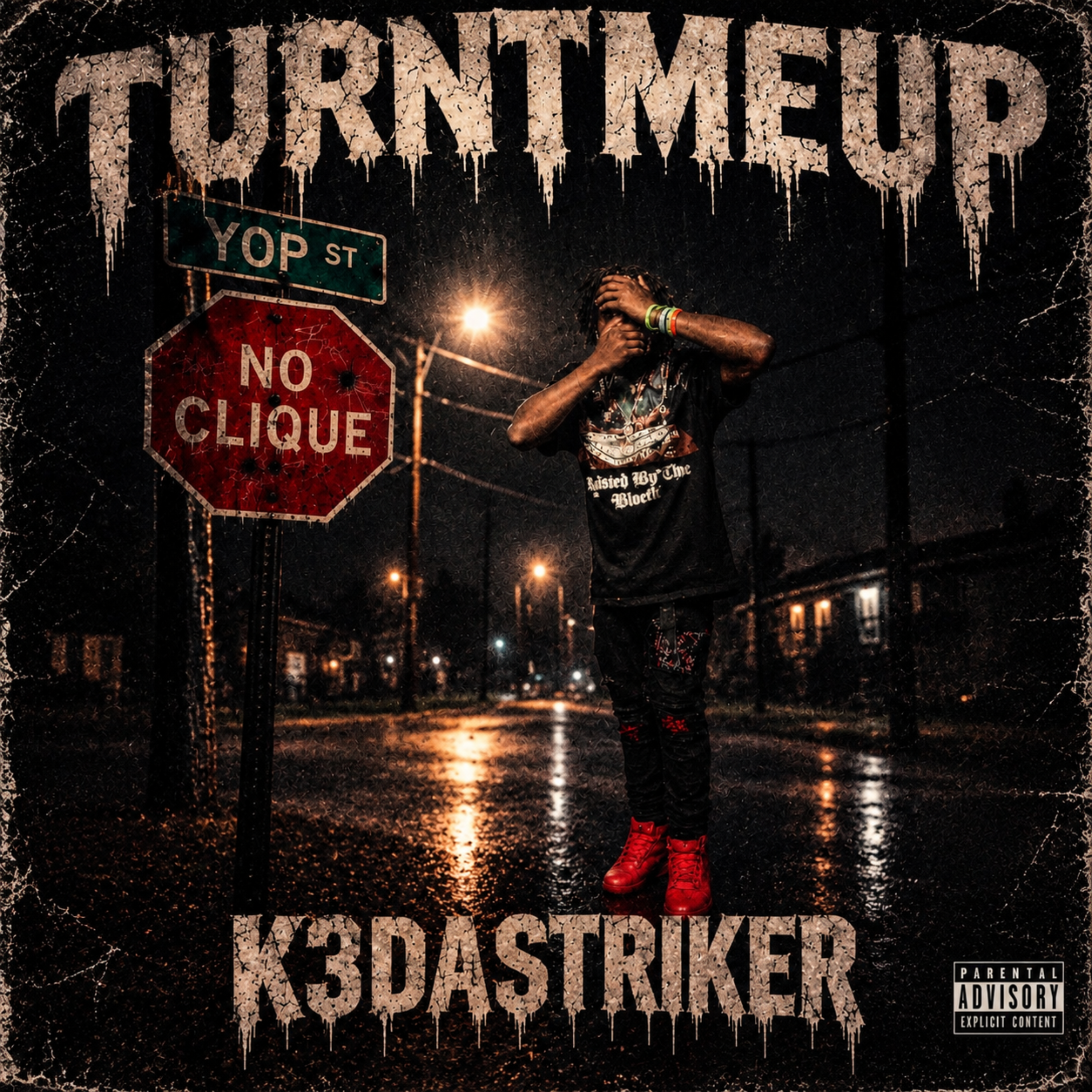 TURNTMEUP by K3DaStriker cover art