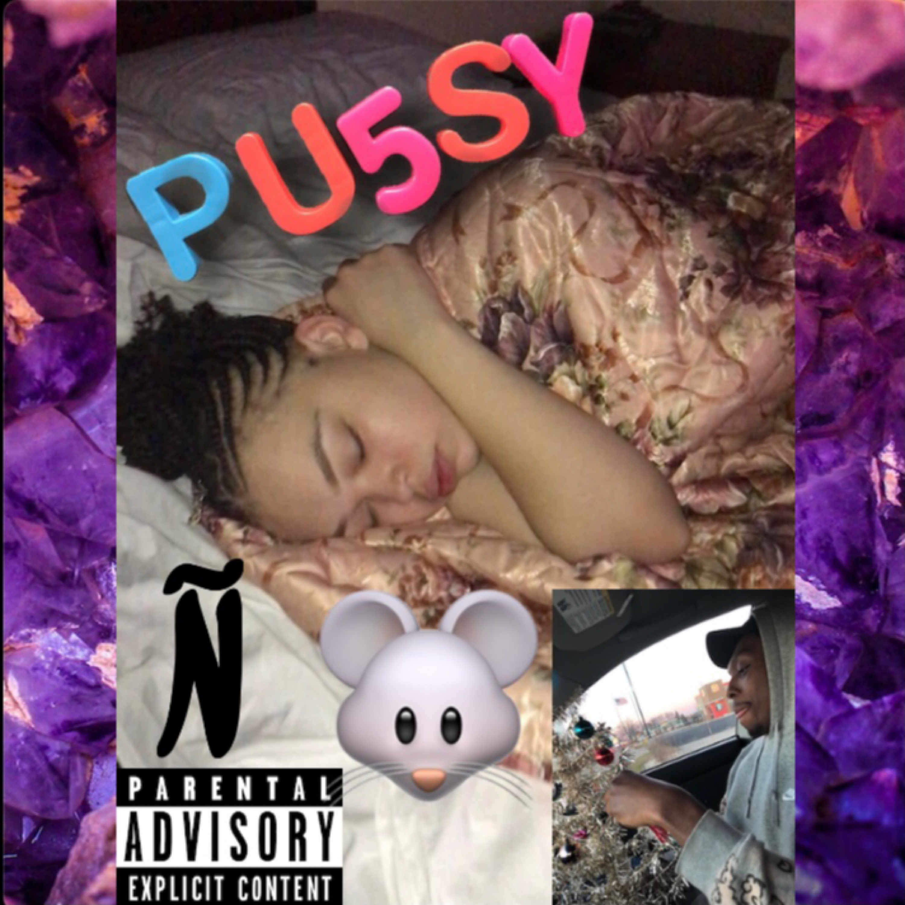 PU5SY Ñ MICE artwork
