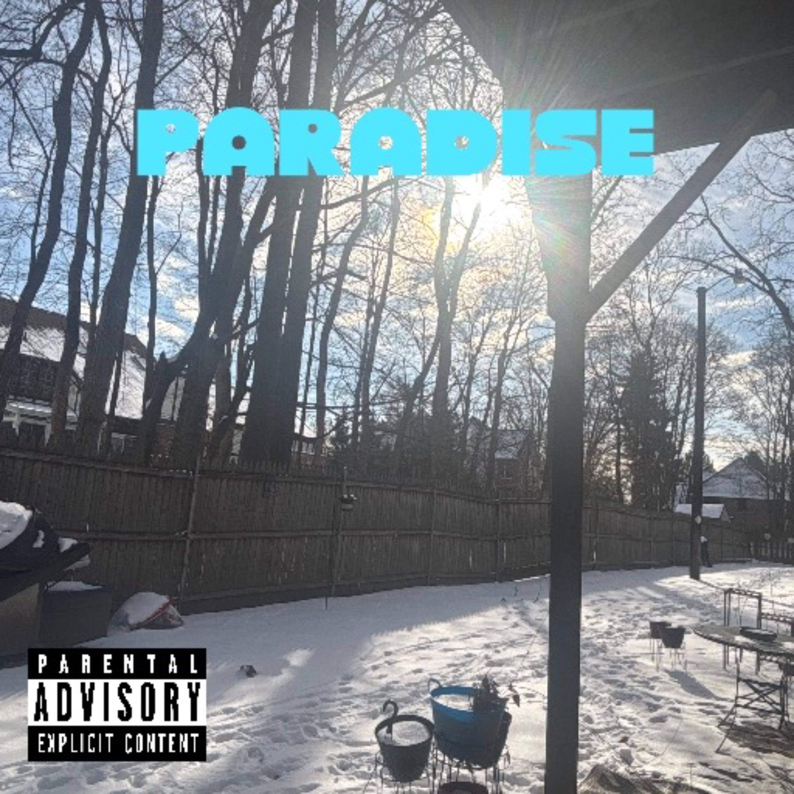 Paradise artwork